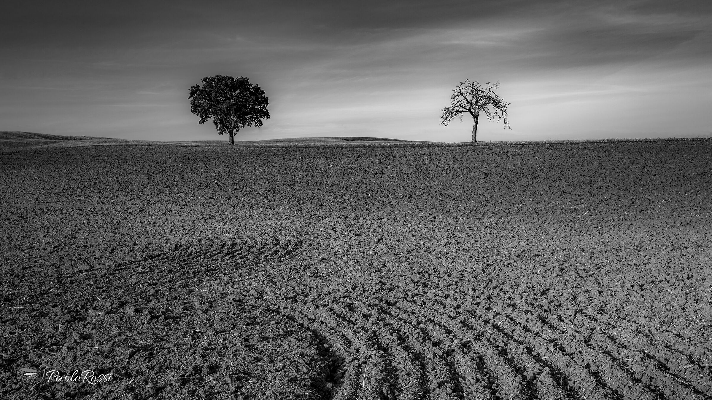 Il vivo e il morto...