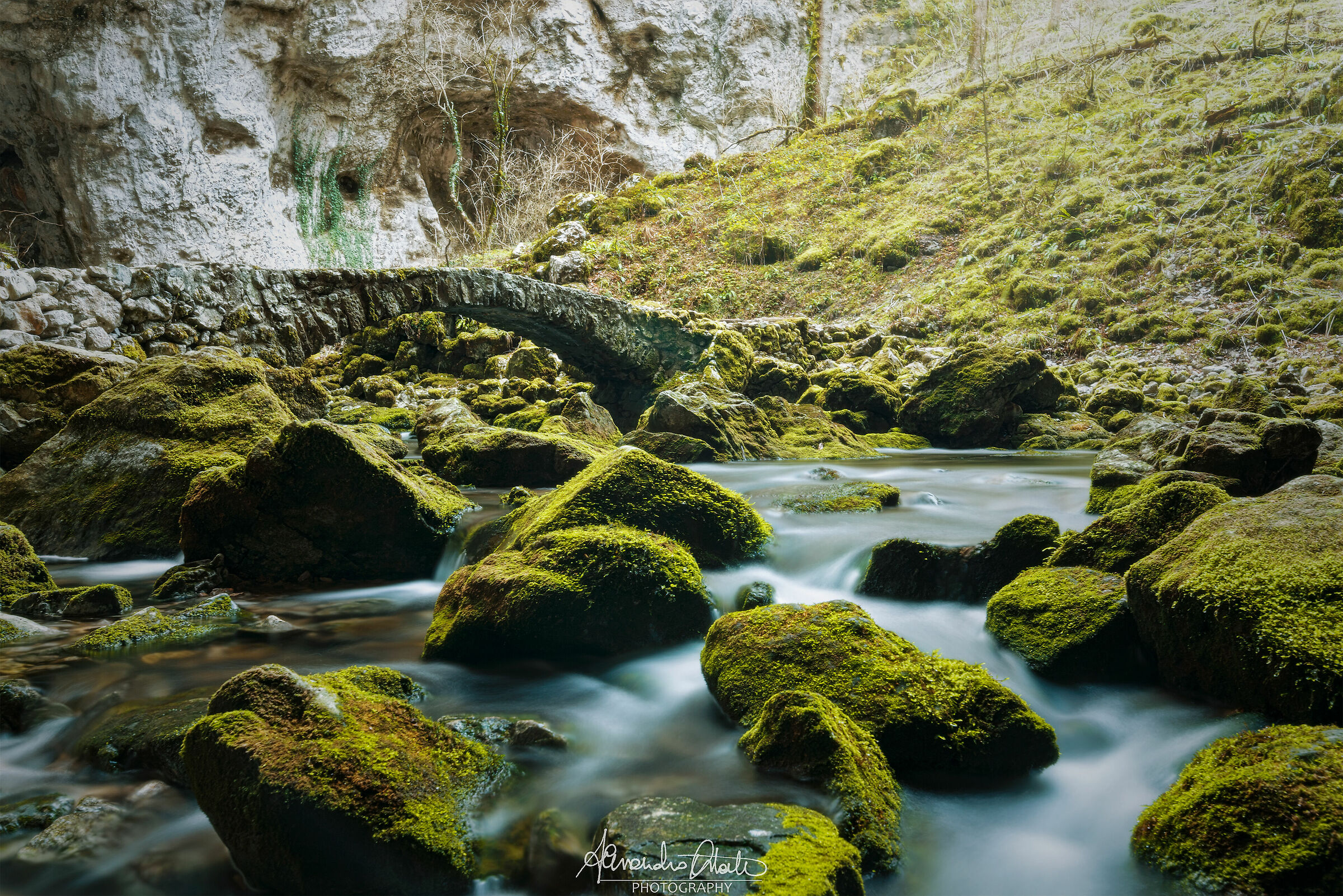 Rakov Škocjan Ikl Small bridge.