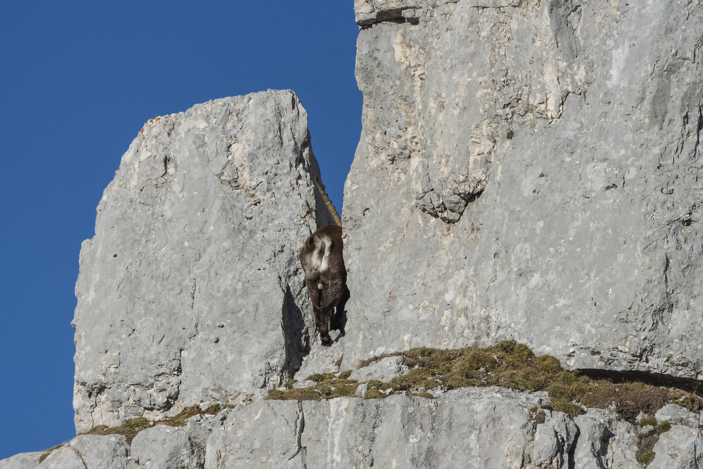 I have to go through there