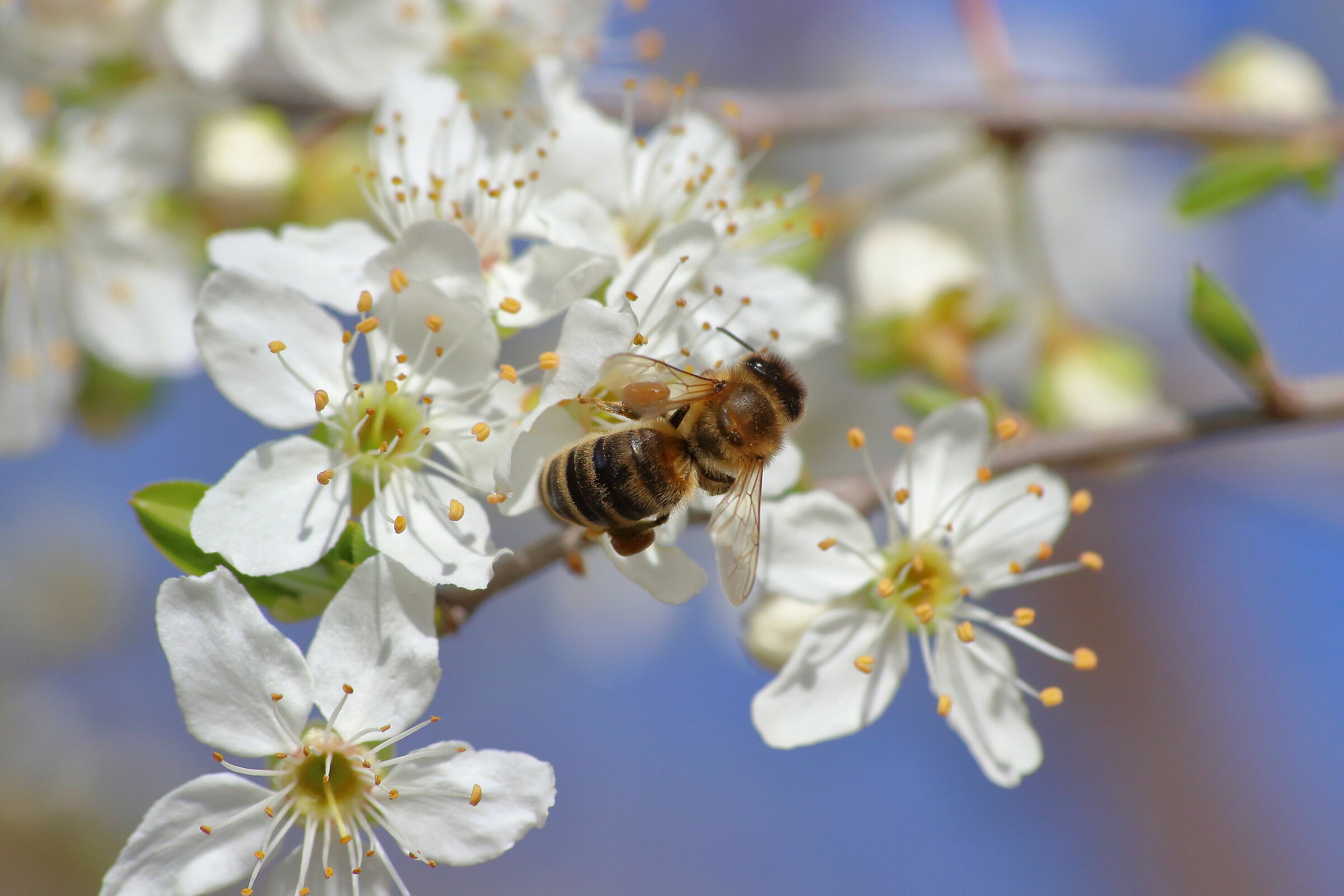 e' ora di tornare al lavoro!!