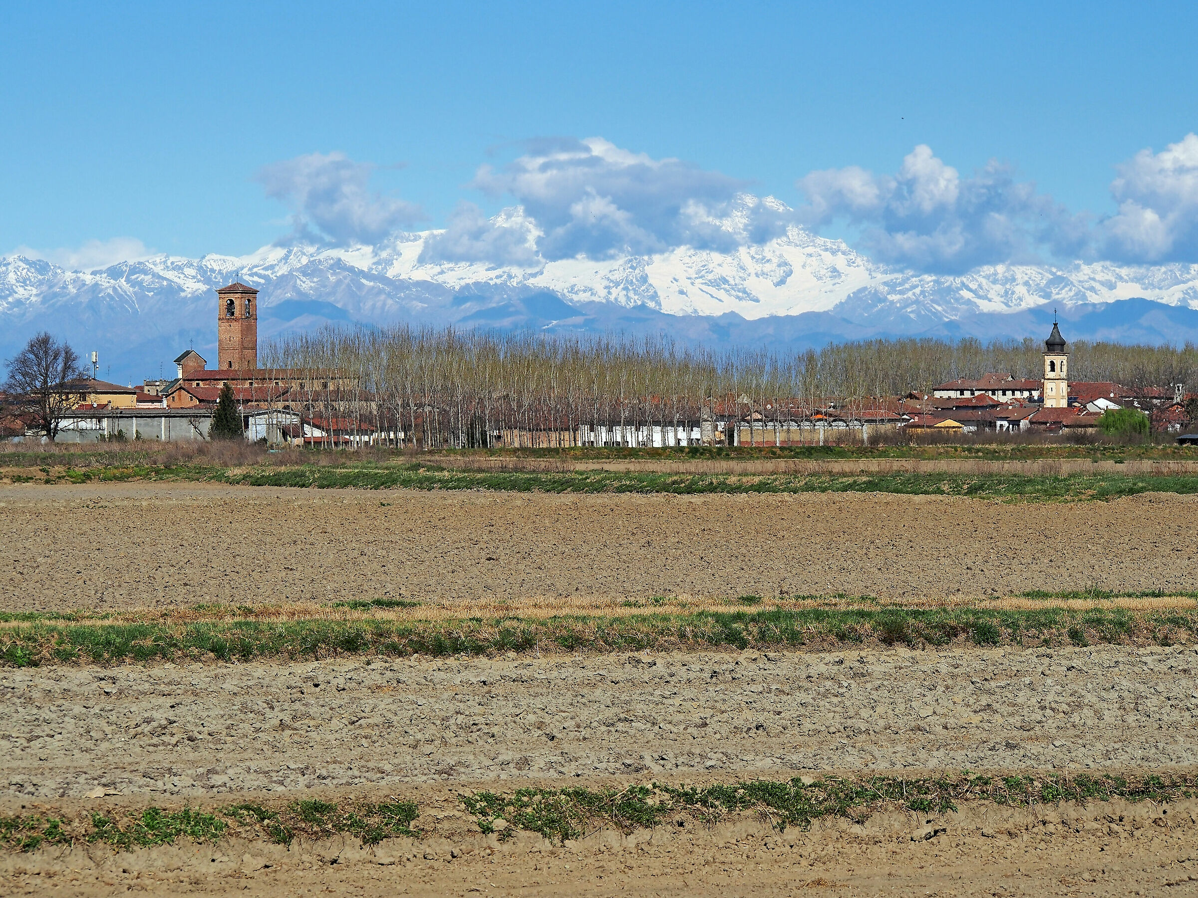 The Low and the Pink