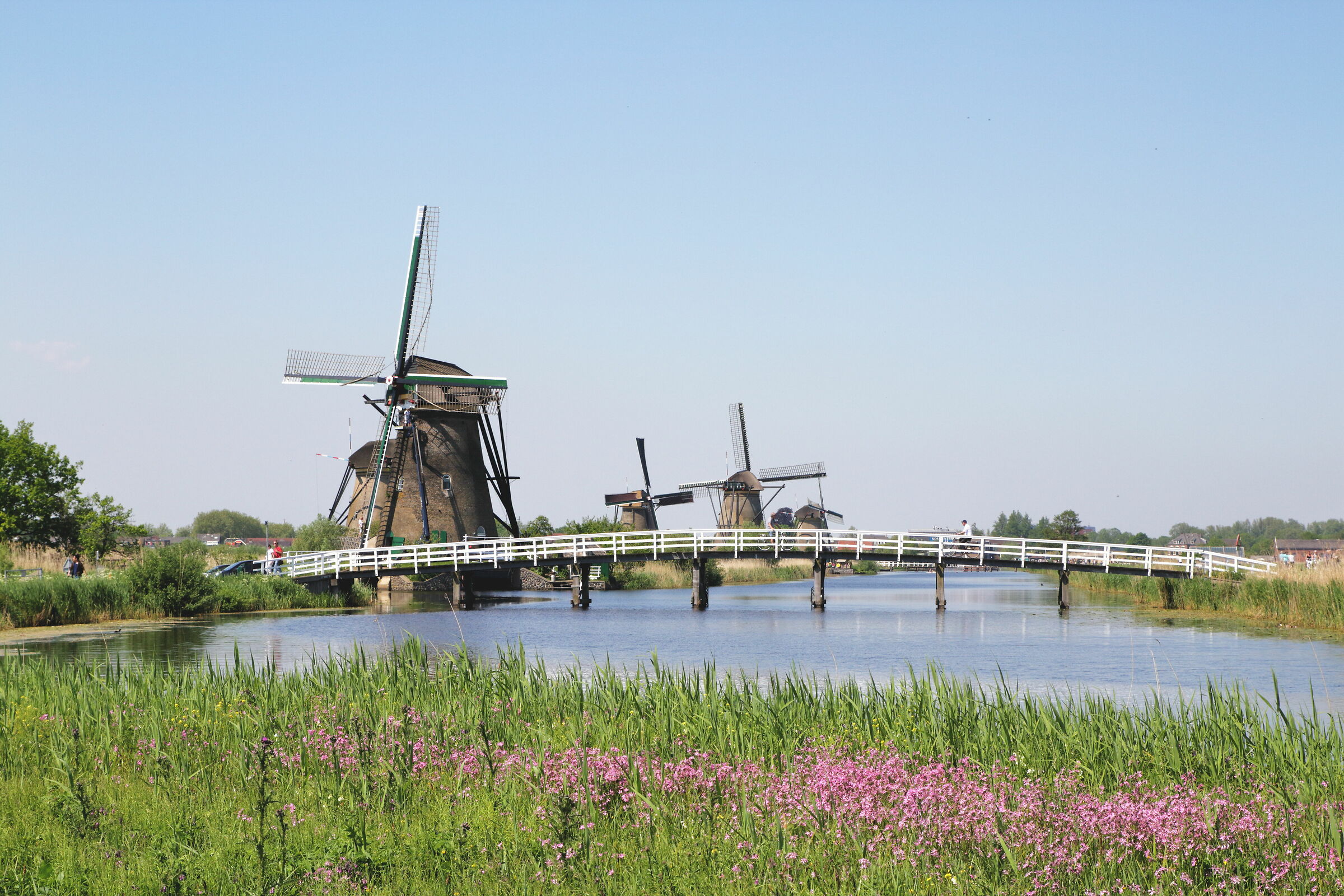 Kinderdijk-3