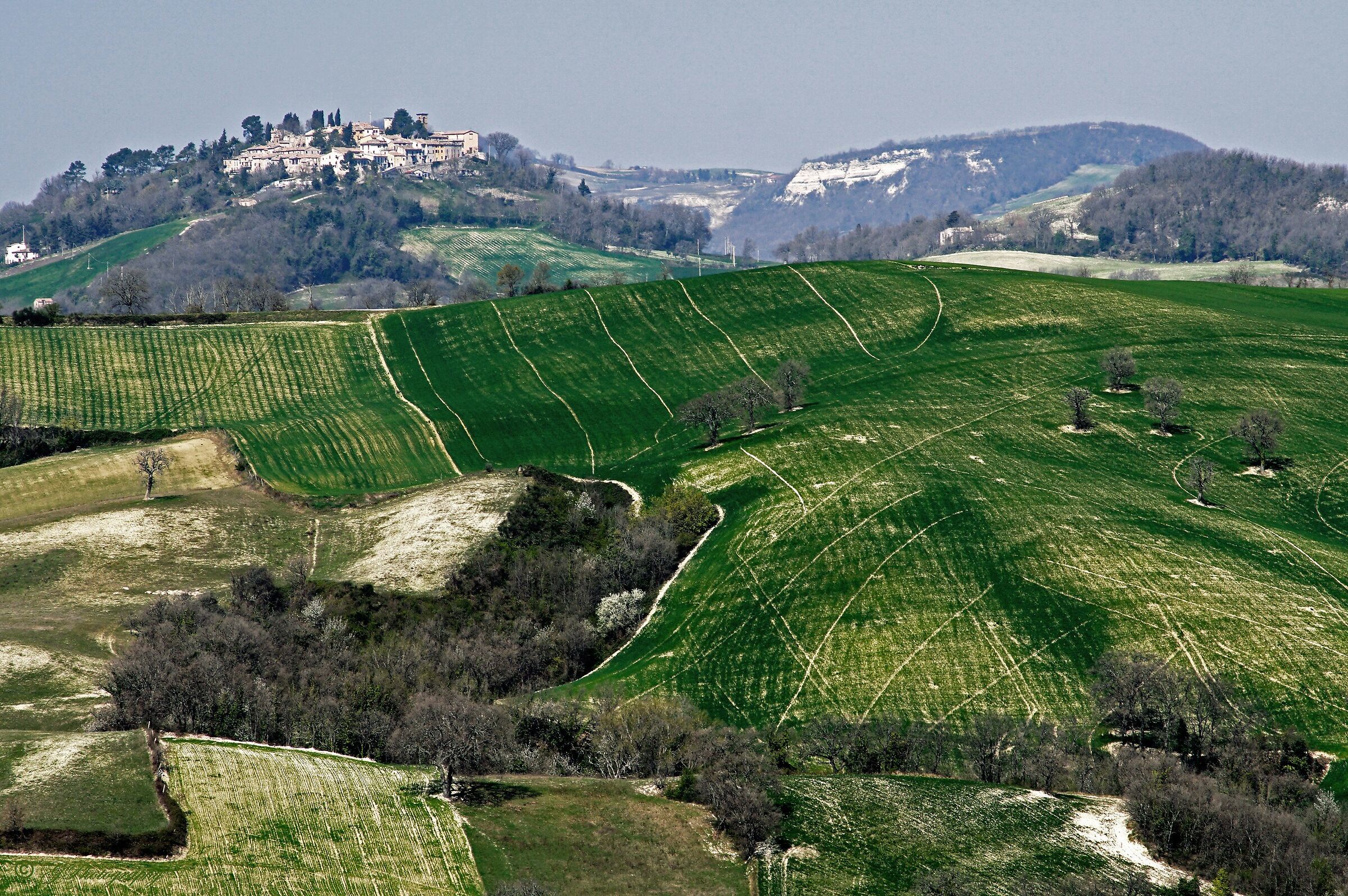 Alta Collina di Marca