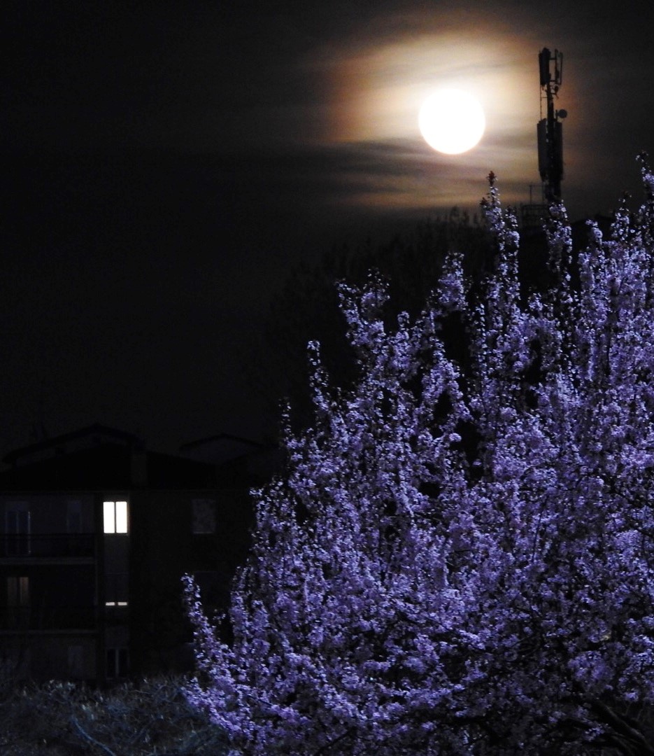 The Moon and the house
