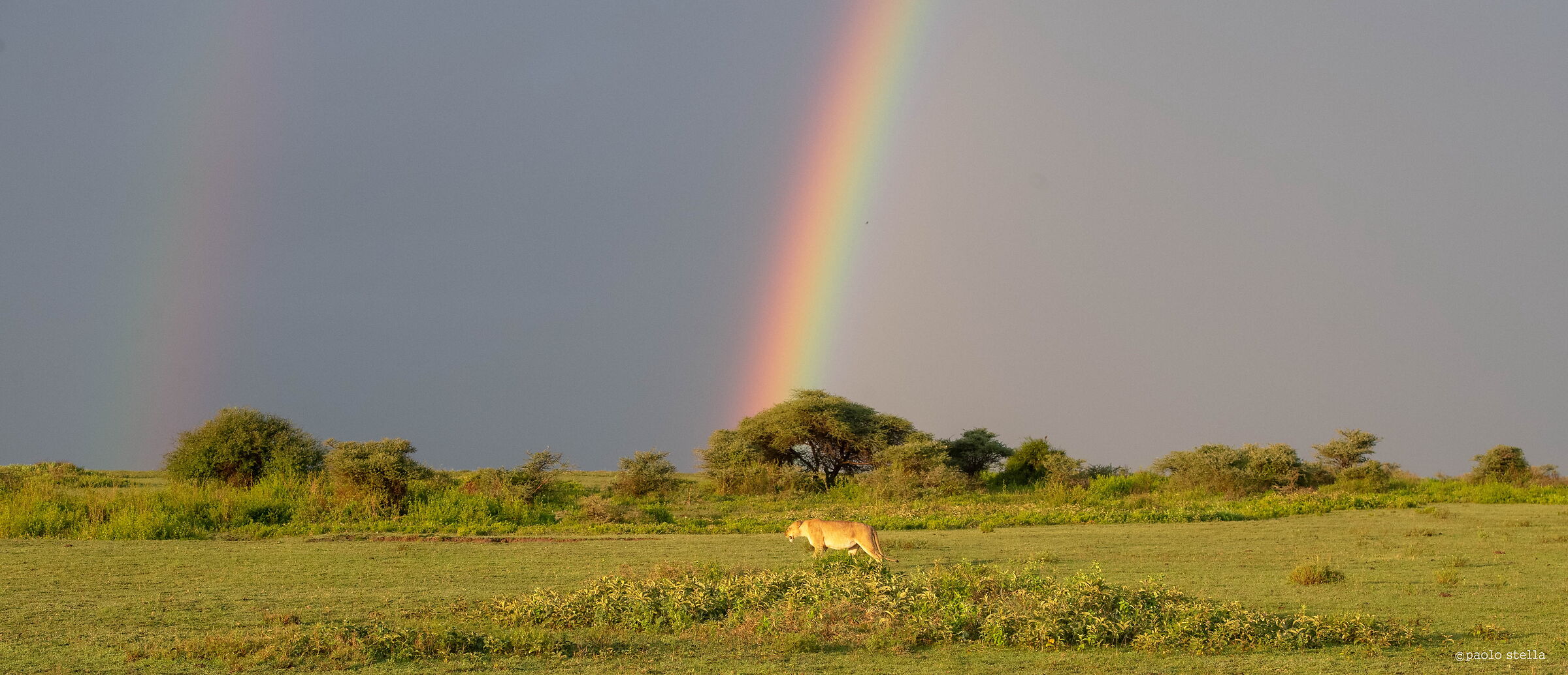 after the night storm
