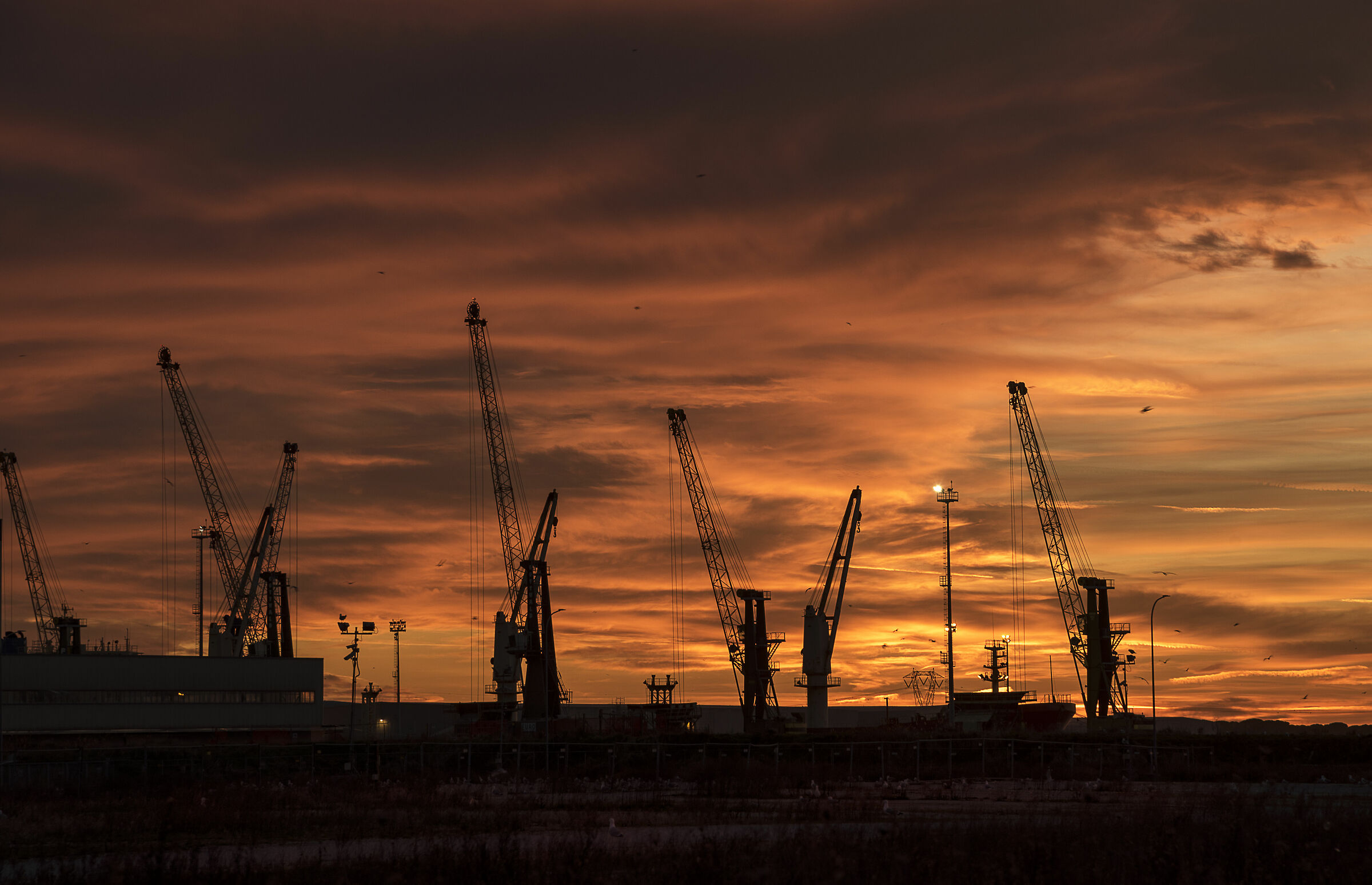 Crane at the port of Ravenna
