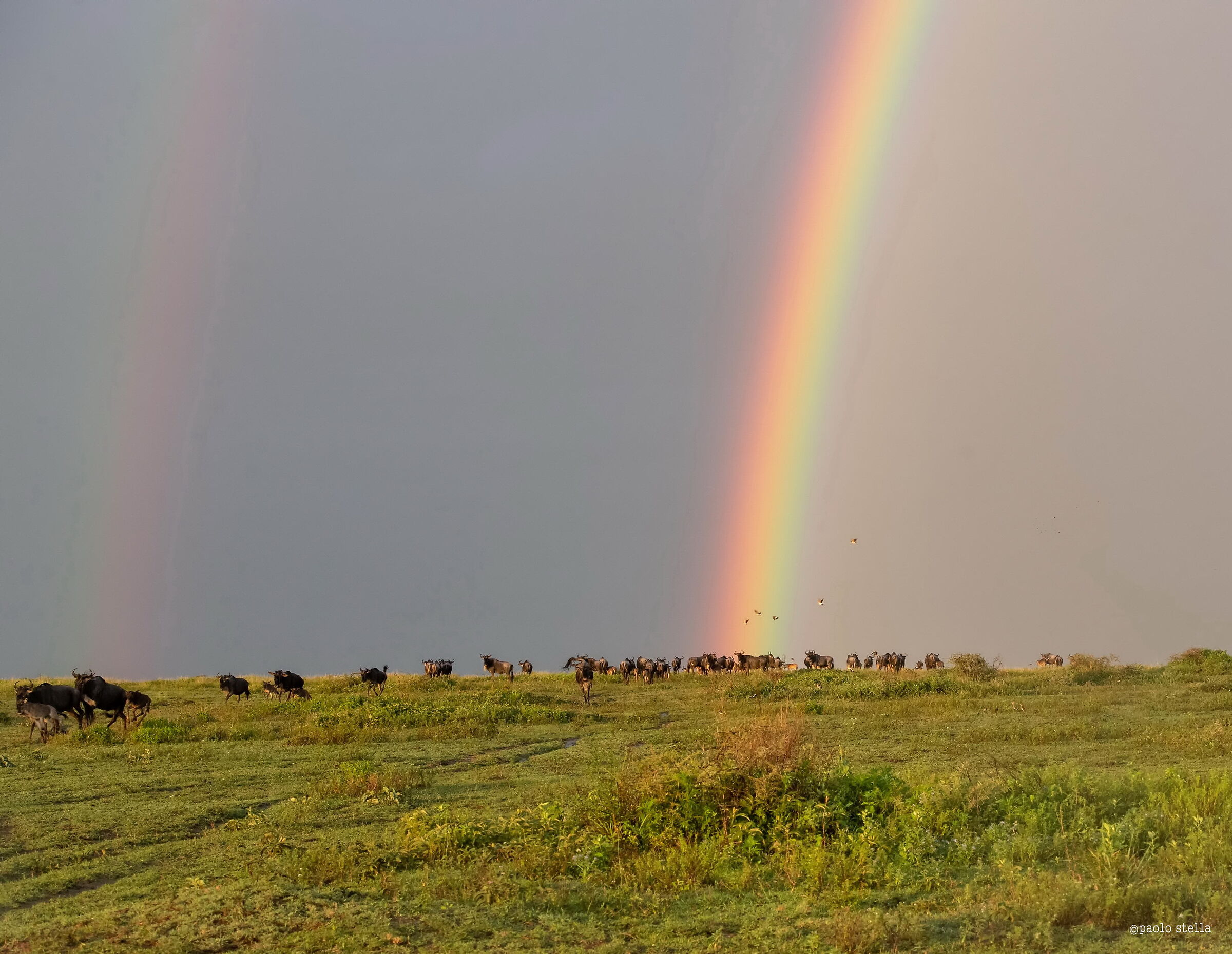 after the night storm - 2