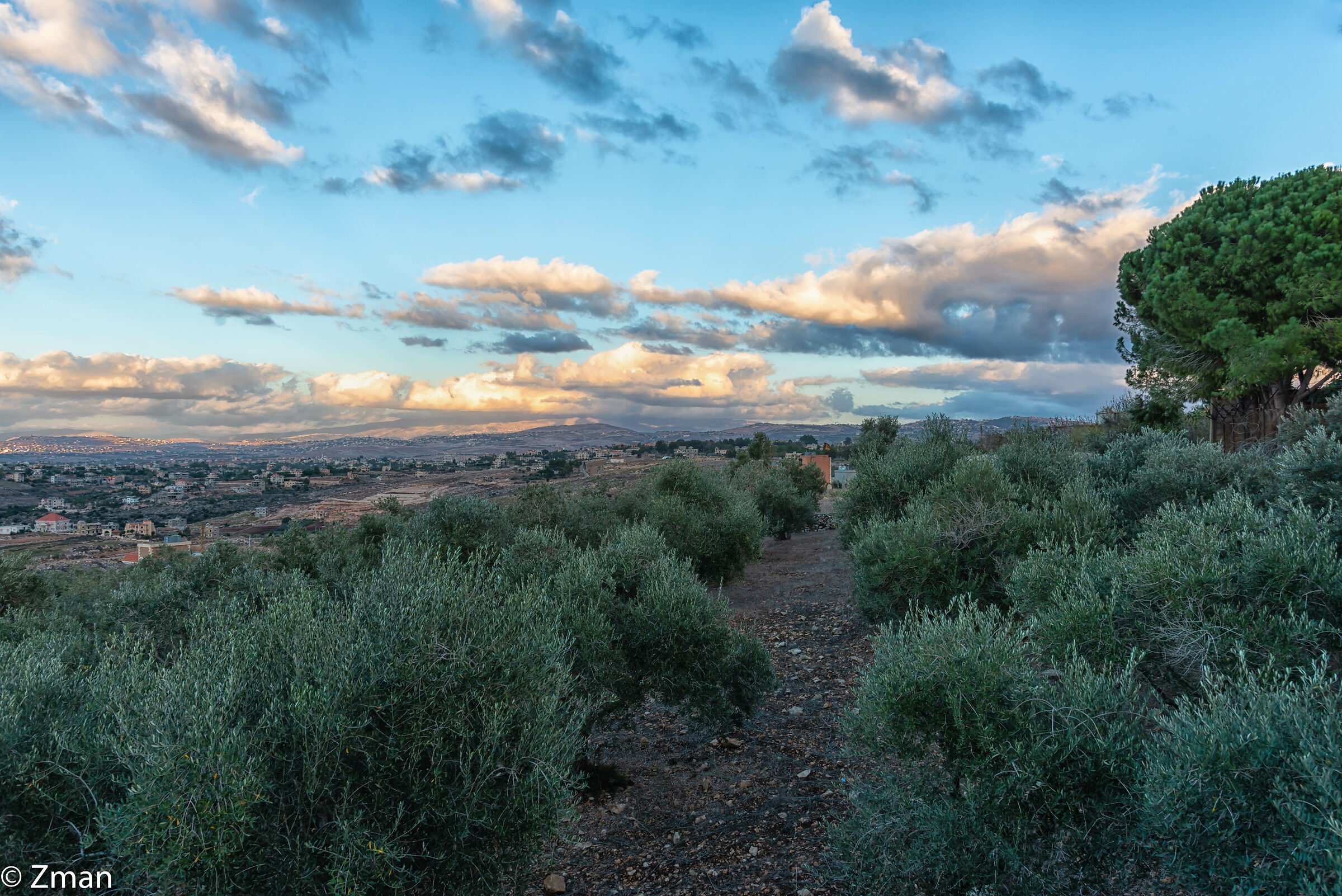 Sawaneh il nostro posto
