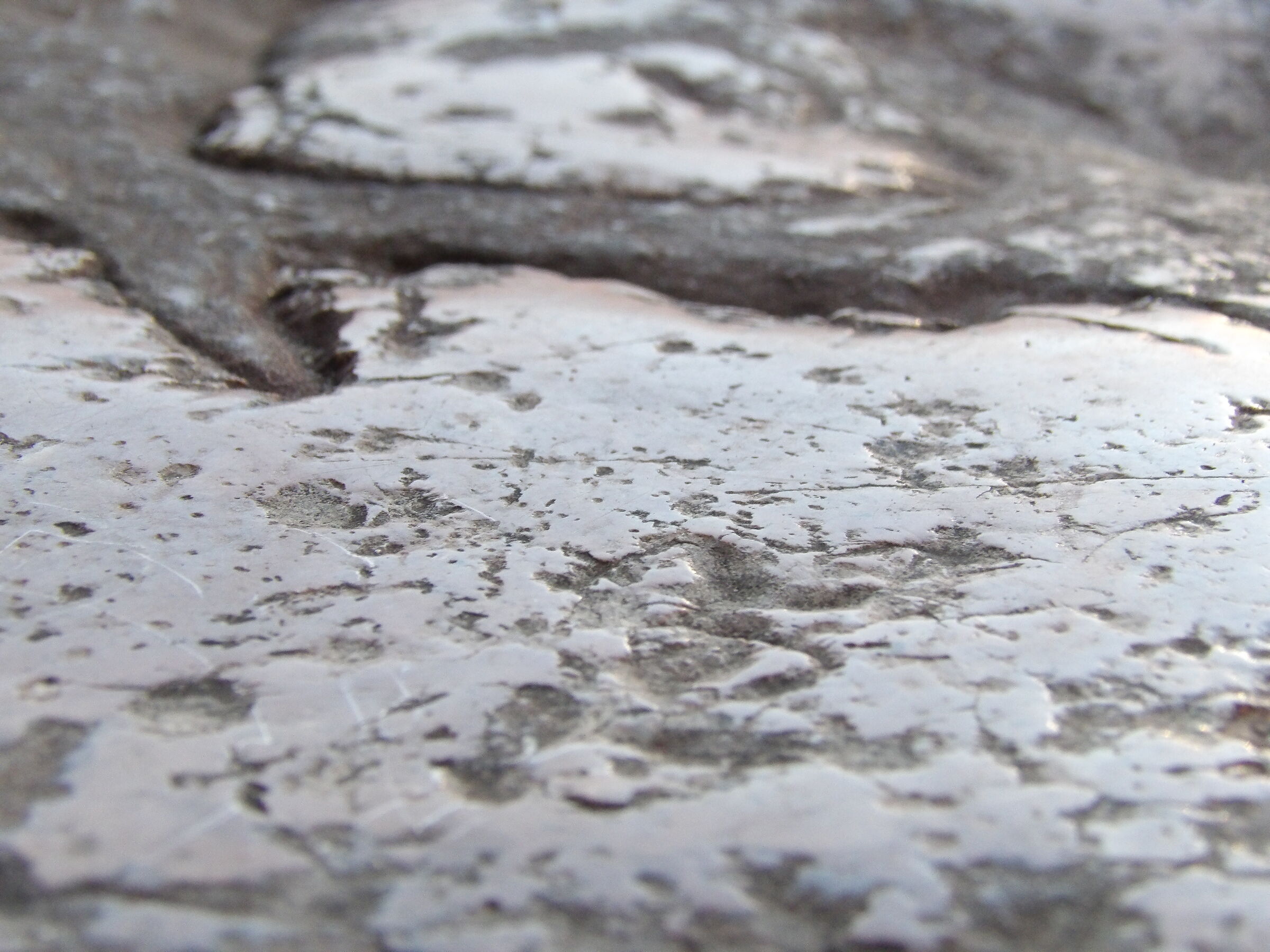 Sulla Pedra ringadora