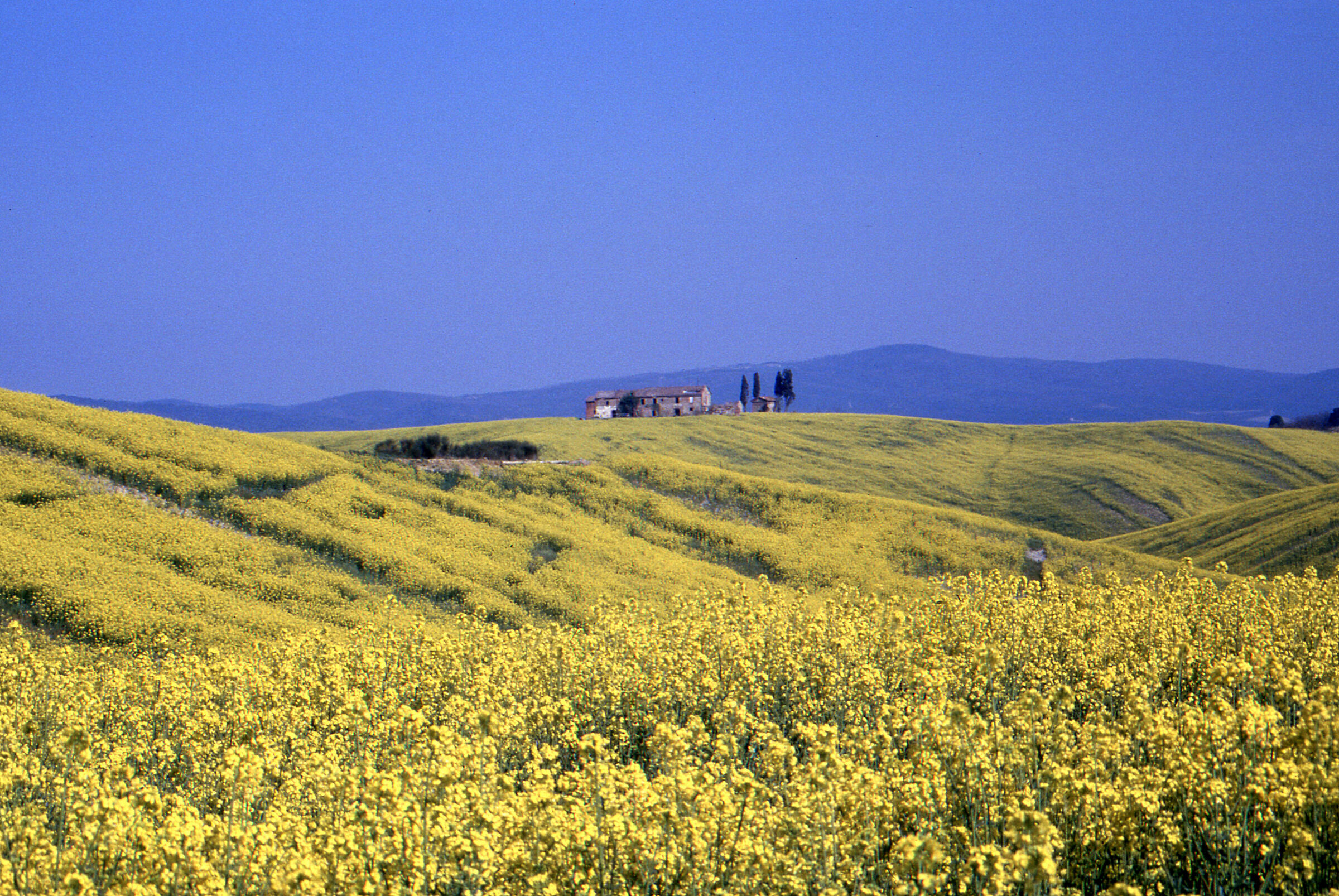 Toscana anni 70 con la Fujica 701