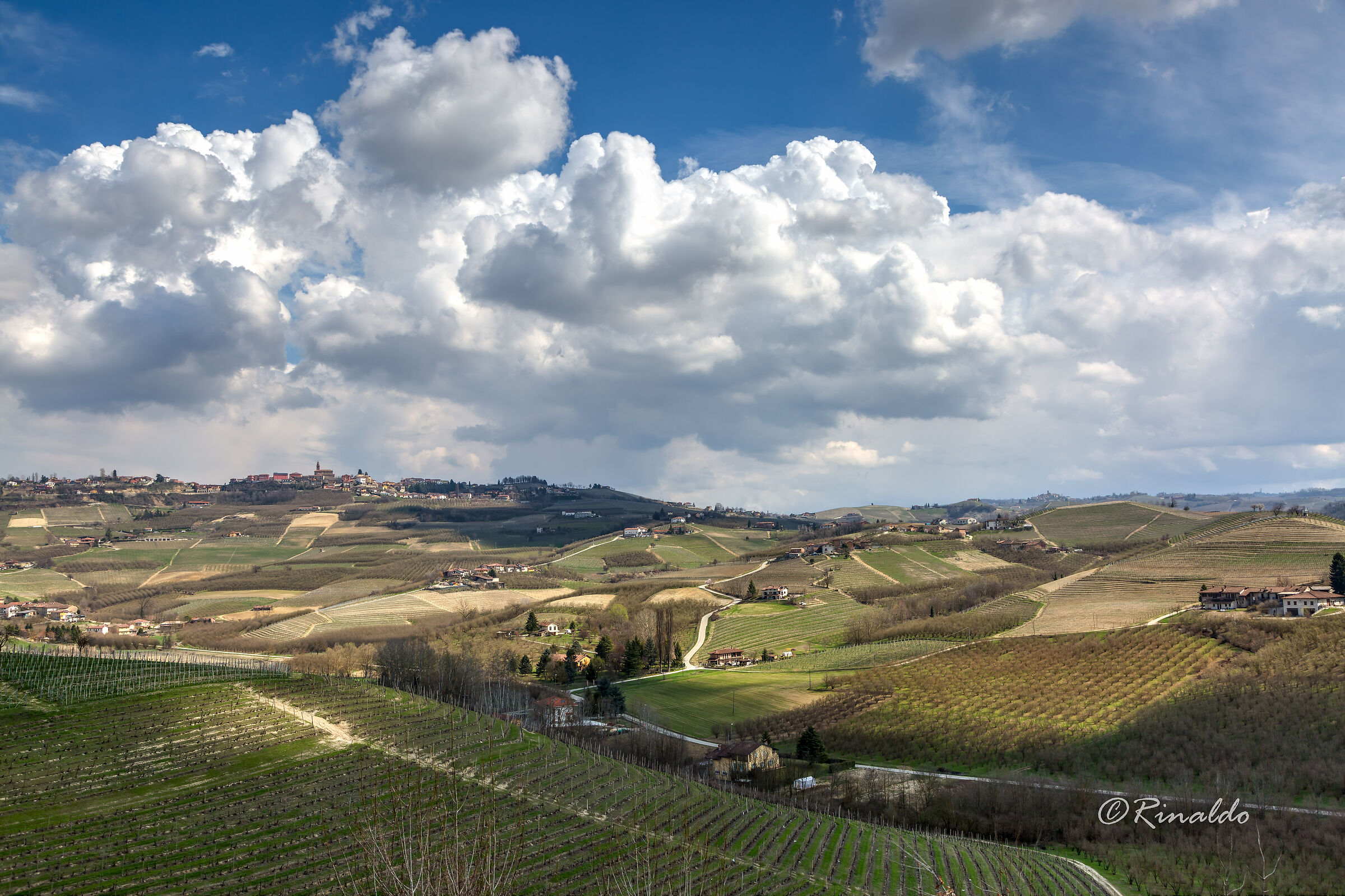 Le Langhe