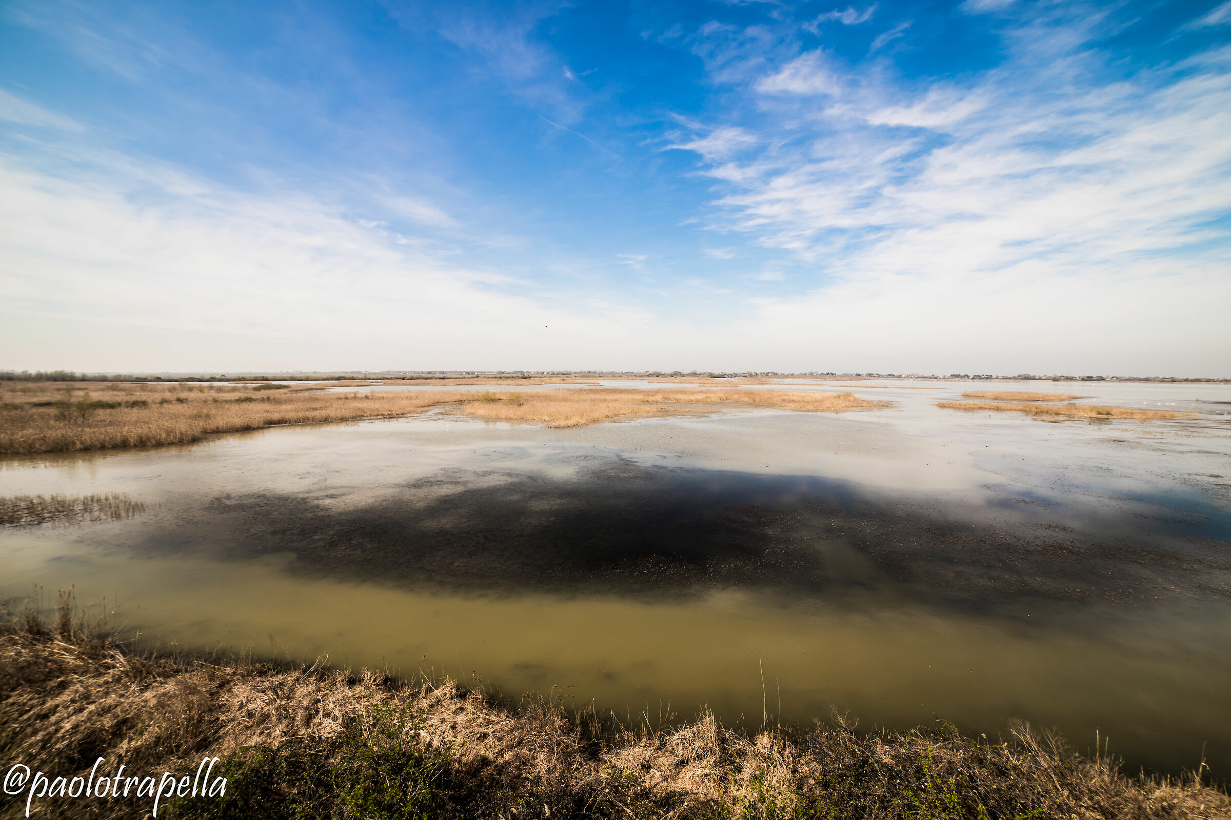 oasi valle mandriole 8 Ravenna )