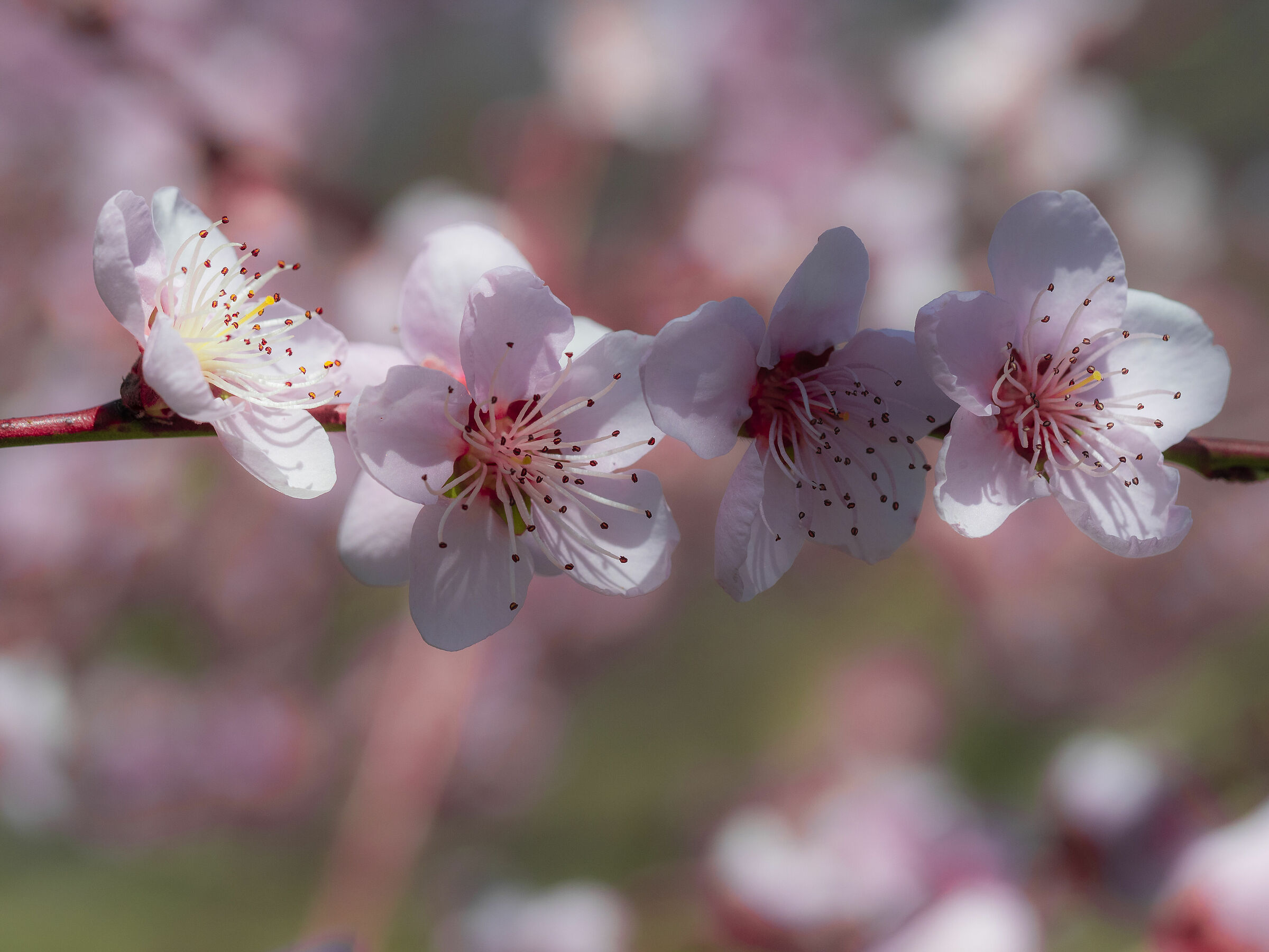 Untitled Photo