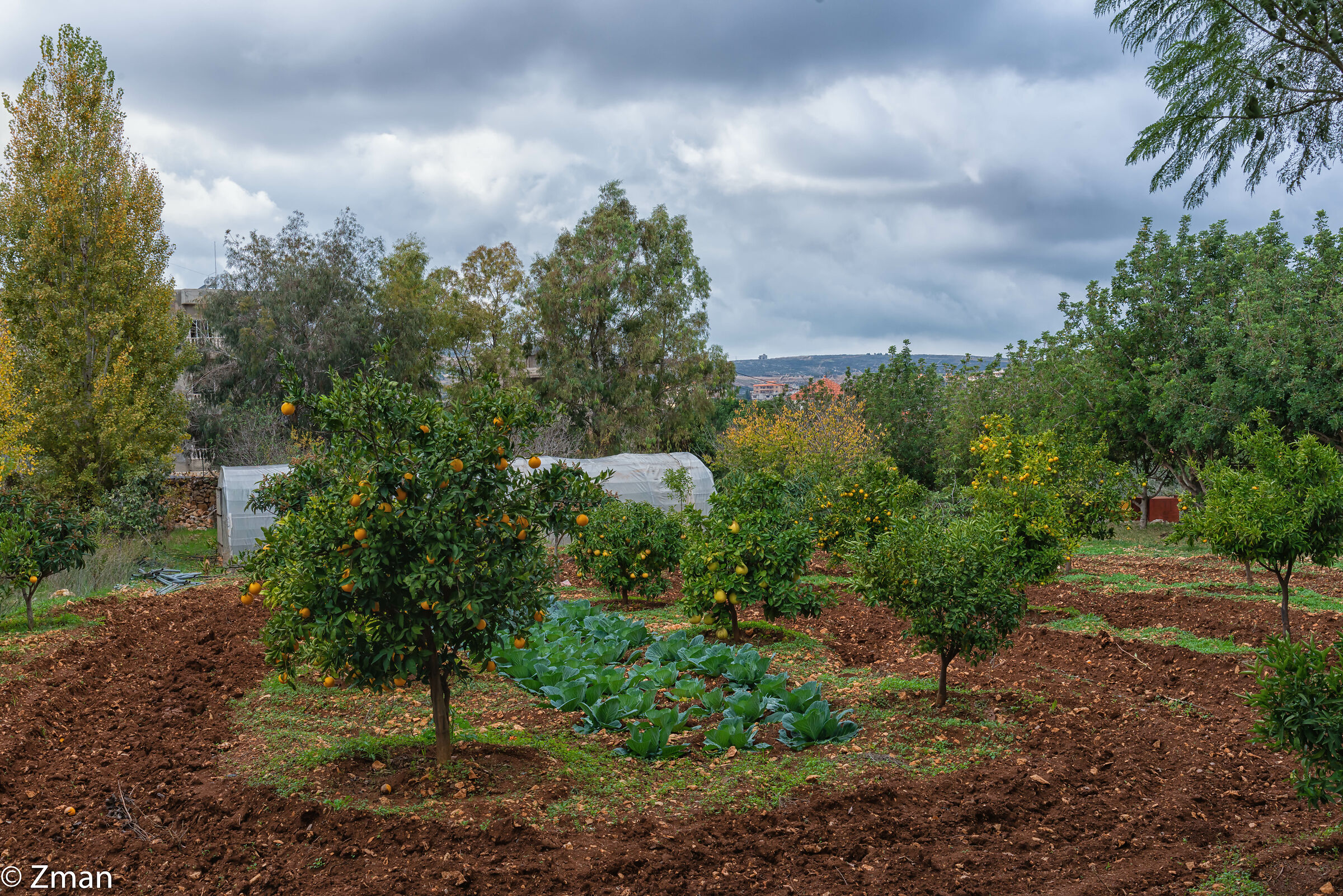 Sawaneh il nostro posto