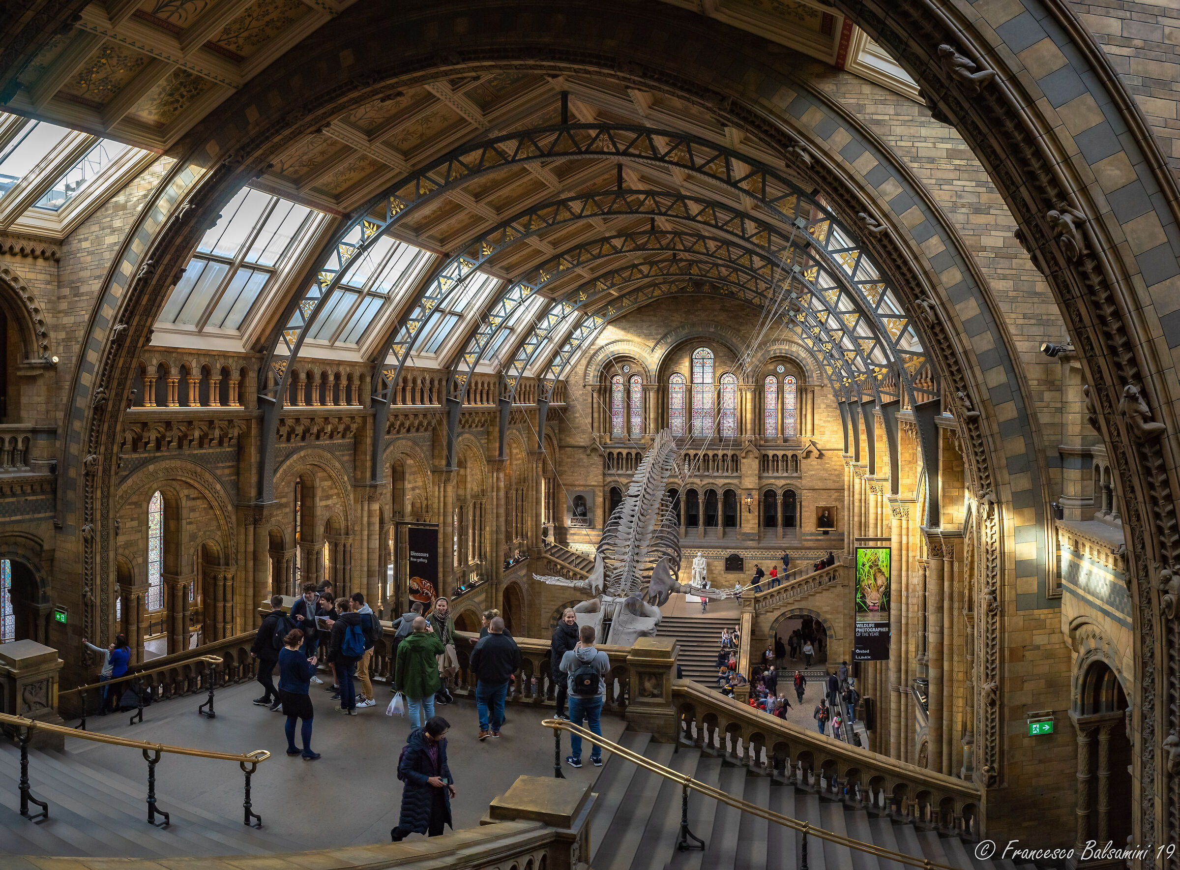 Museo di storia naturale