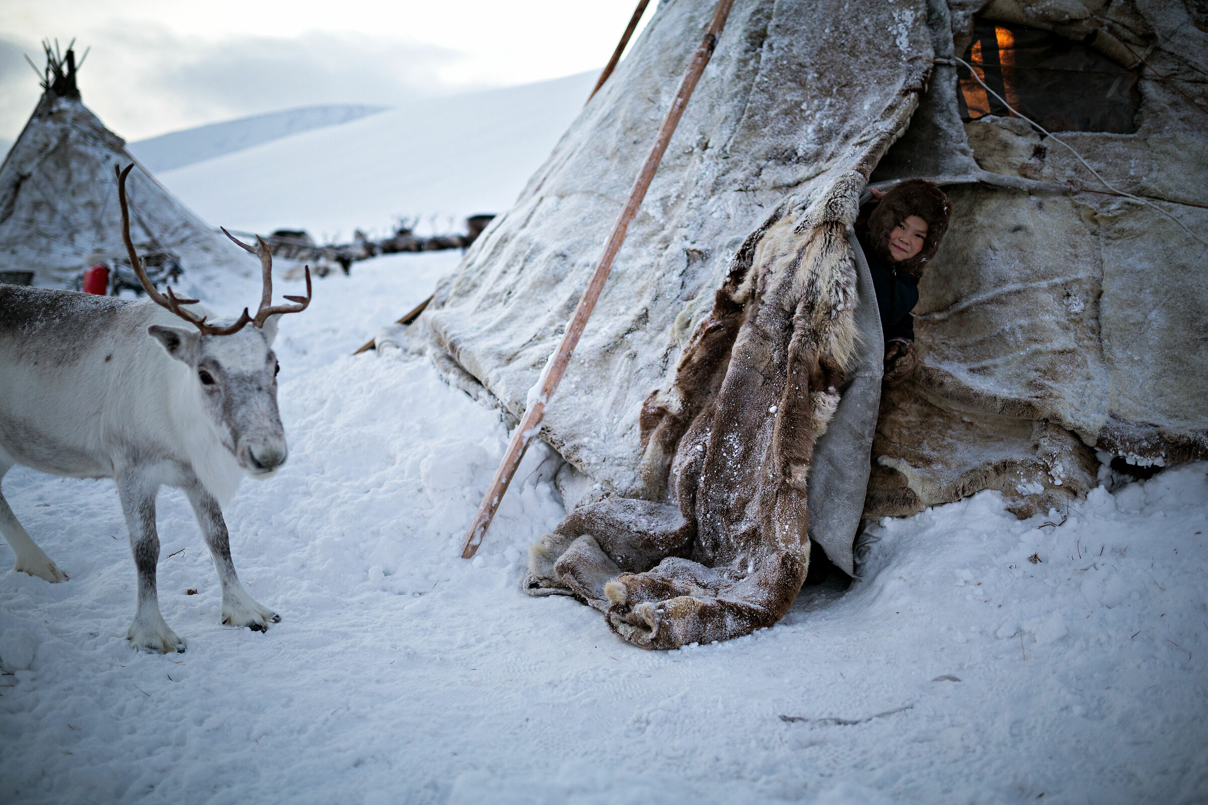 nenets people