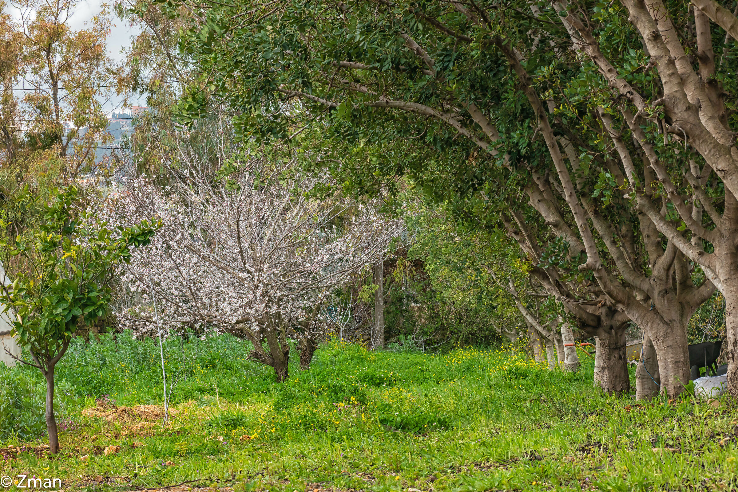 Sawaneh il nostro posto