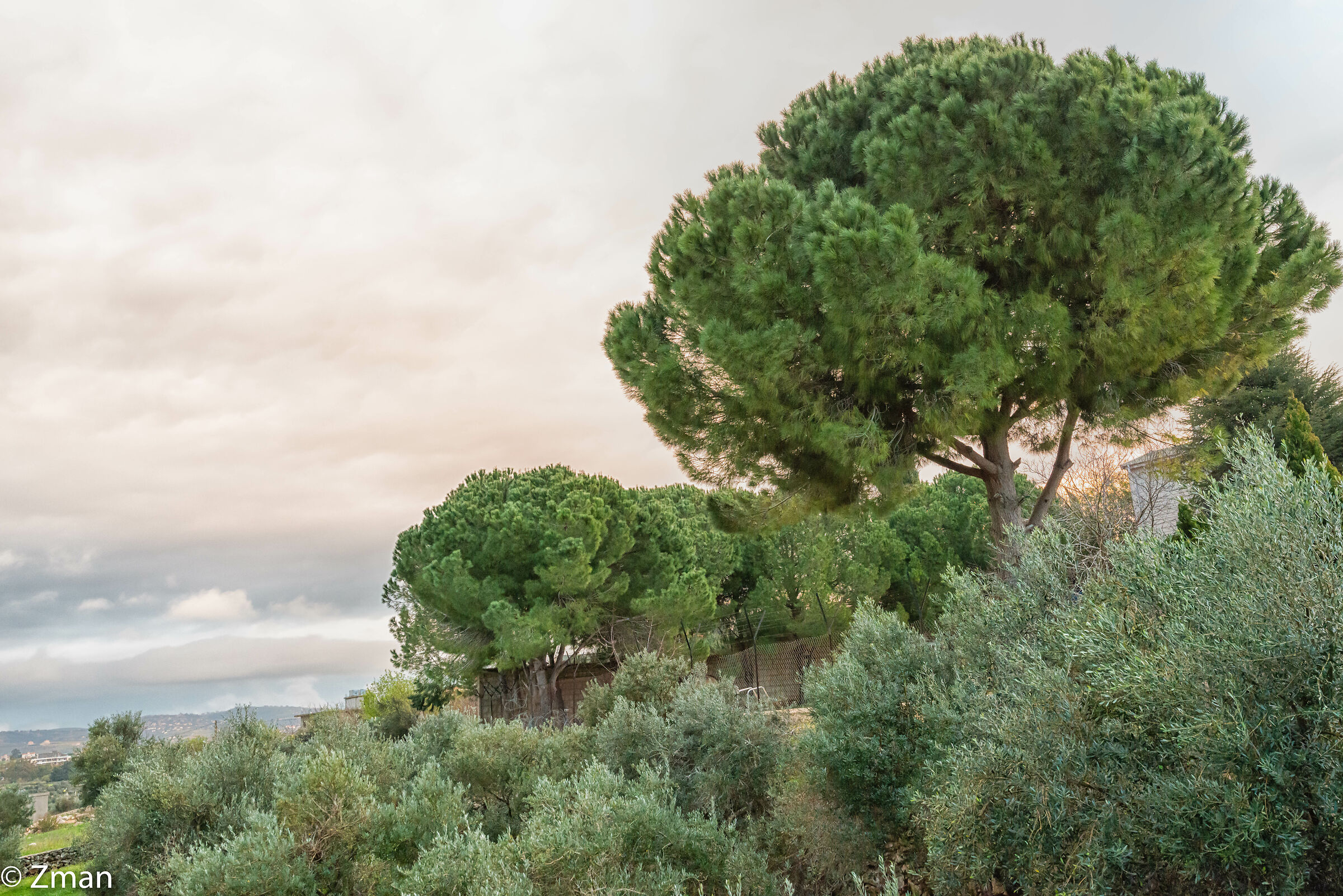 Sawaneh il nostro posto