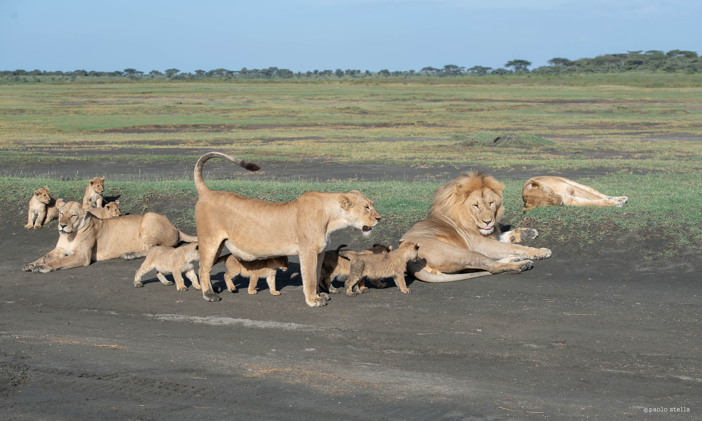 papi, 2 moms , childrens & new love