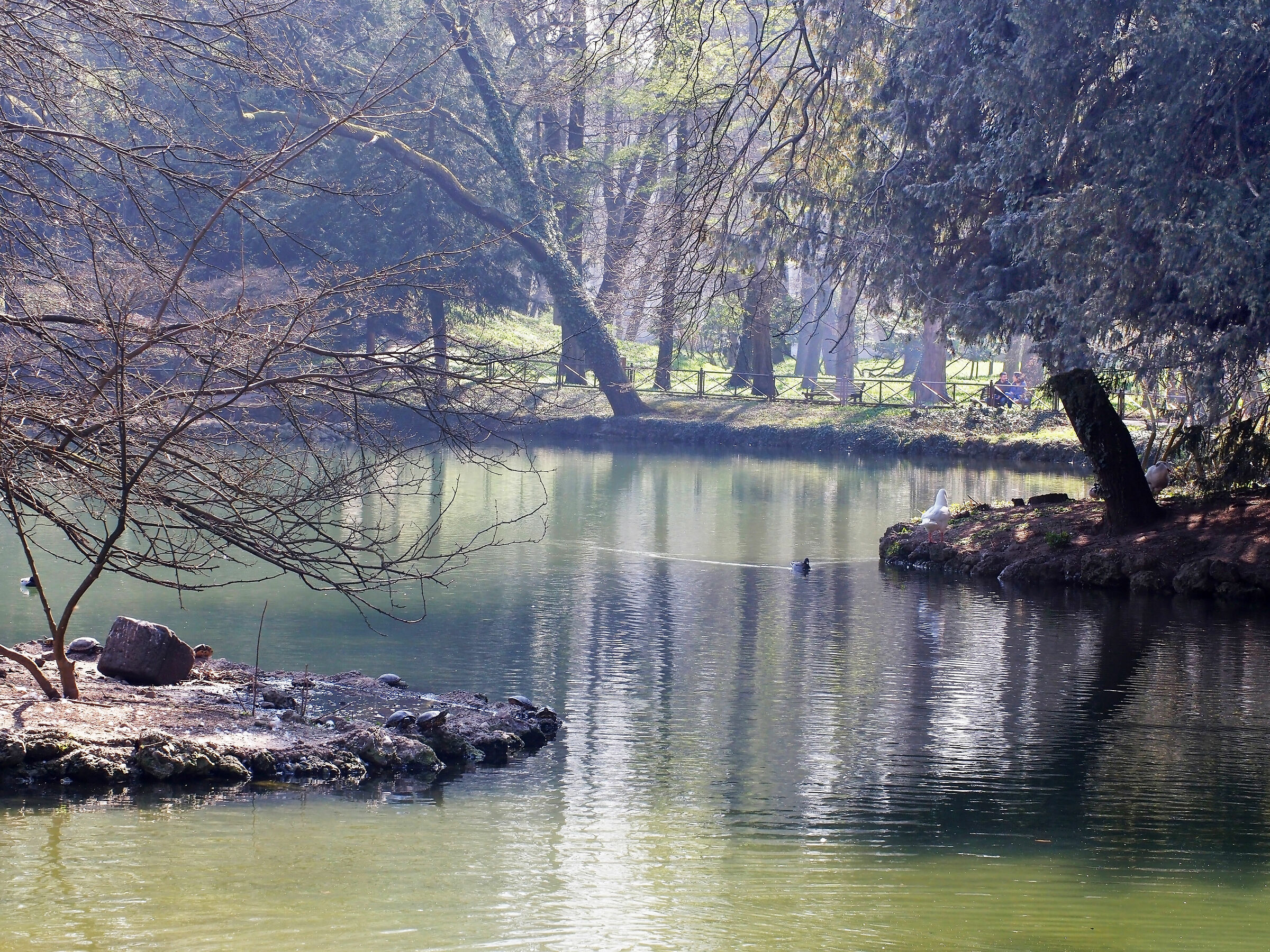 Spring Sun Pond Gardens Villa Reale Monza