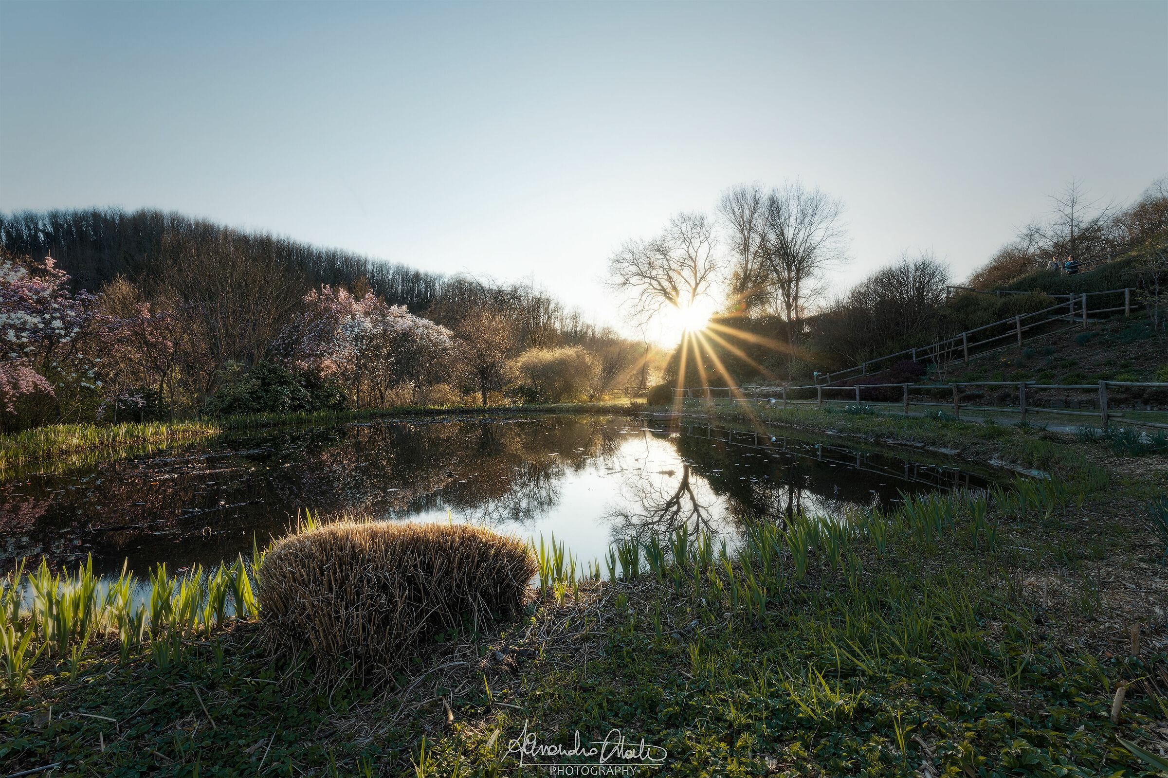 Lo splendido Giardino Viatori a Gorizia.
