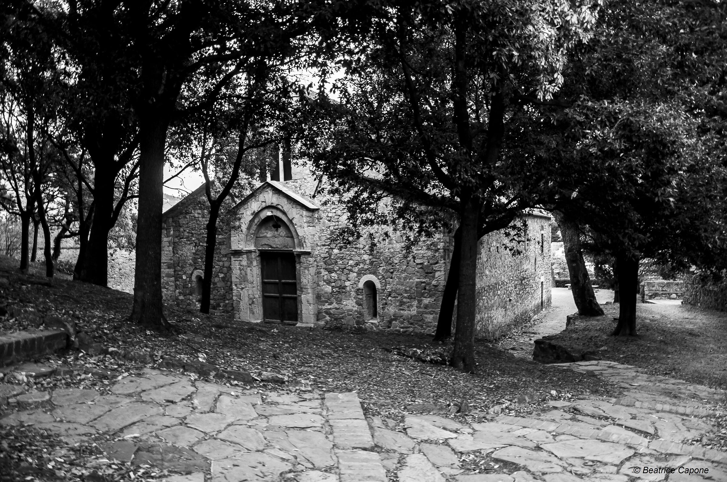 Chiesa di San Nicolò - Sestri Levante (Ge)