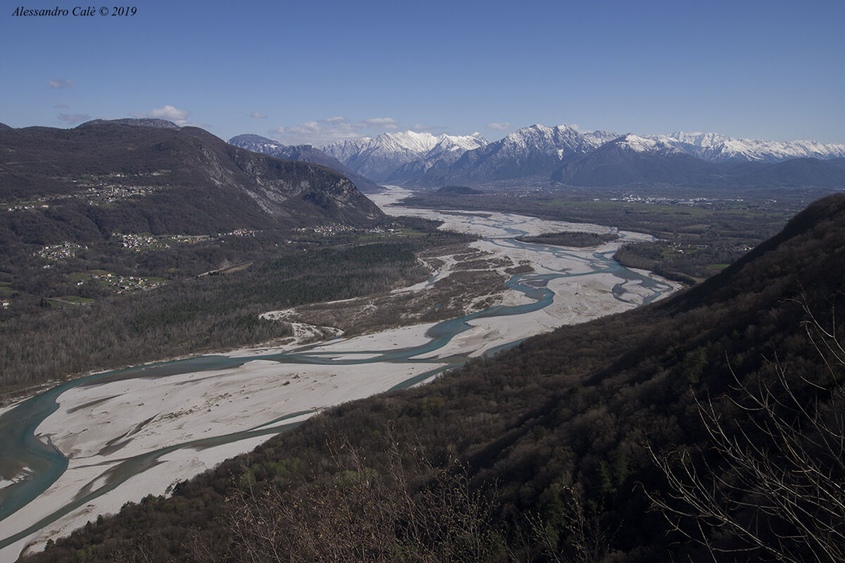 Il grande fiume il Tagliamento 8274