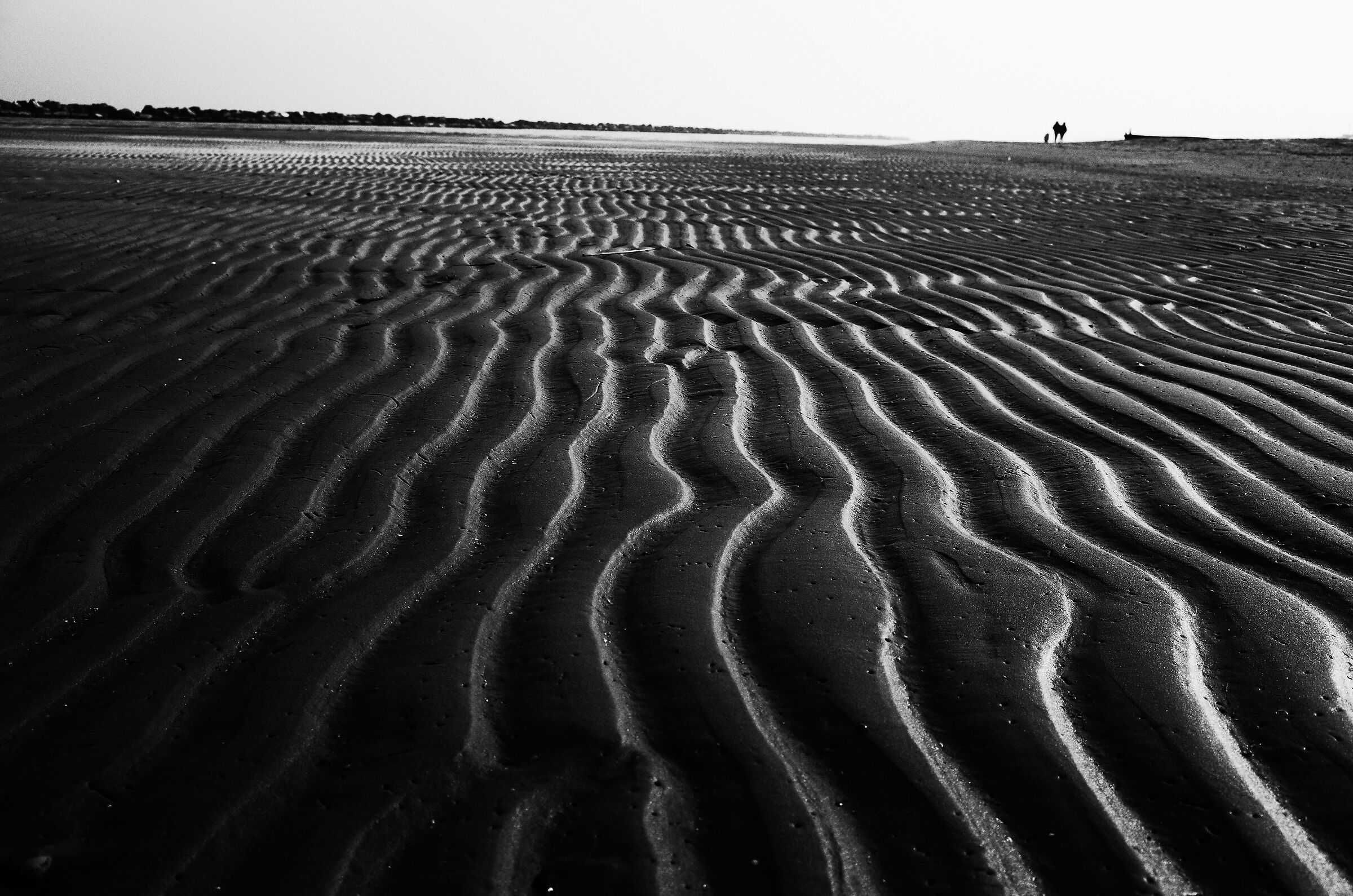 LP prited by the sea