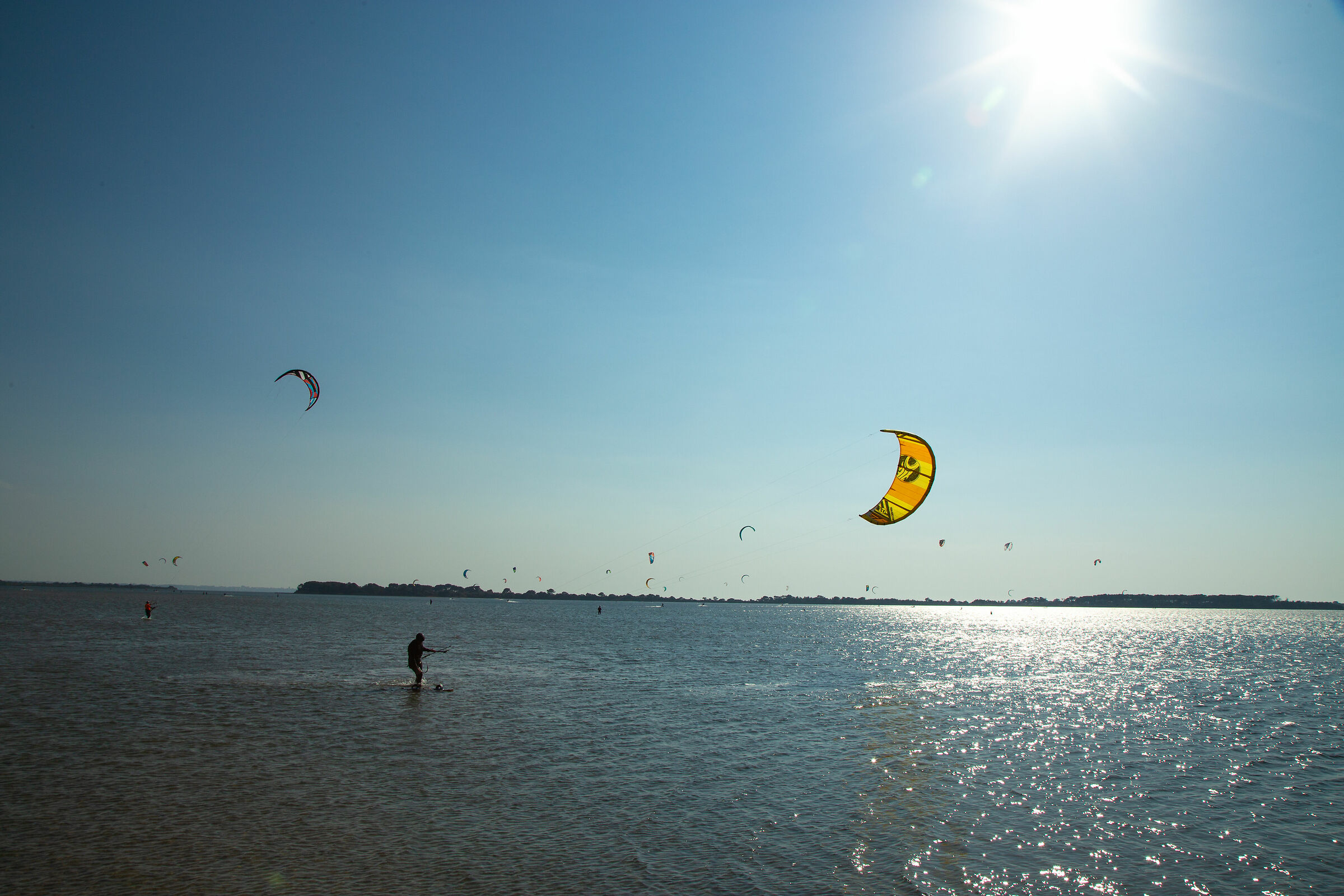 You Fly in backlight