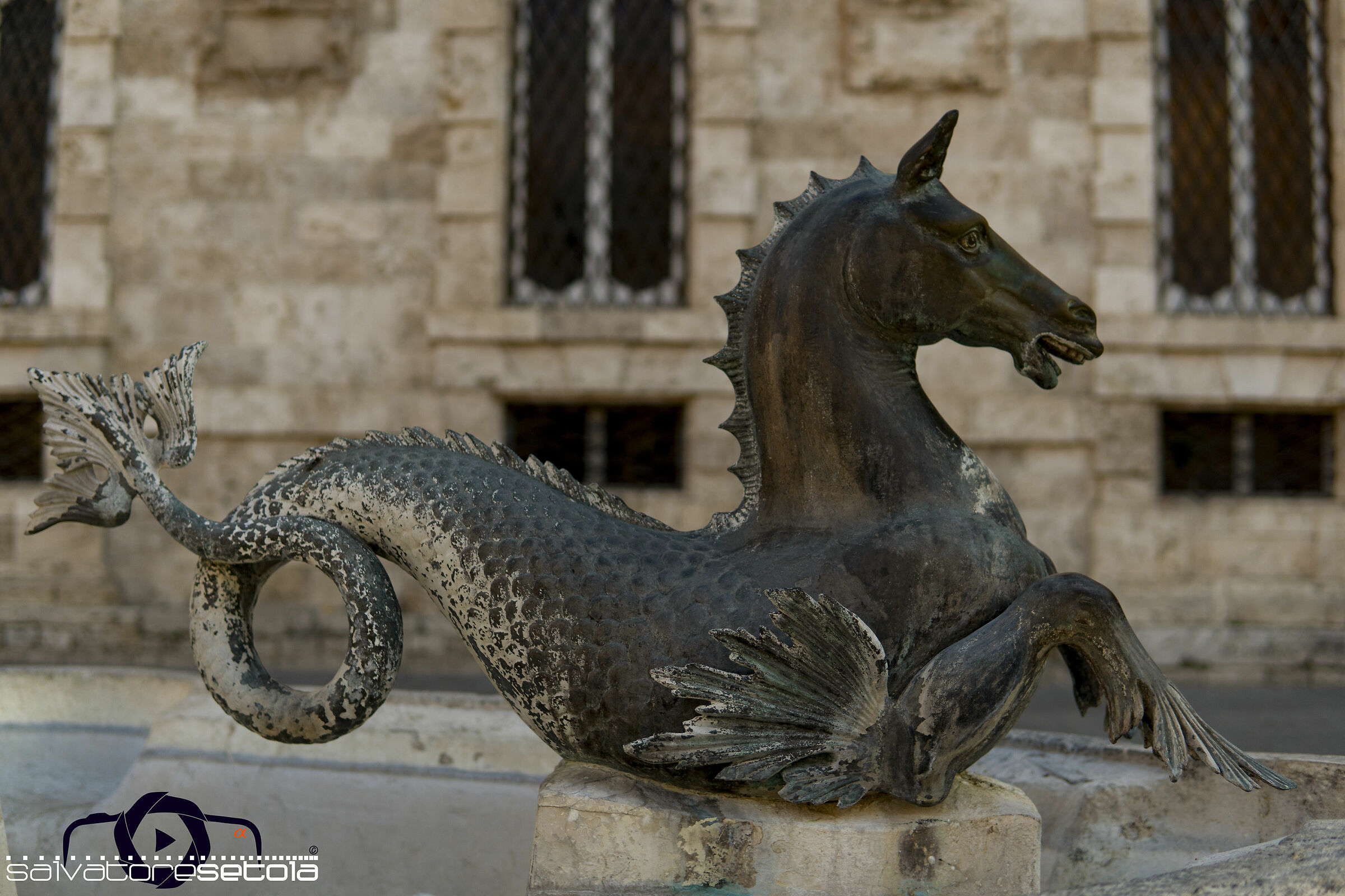 Ascoli Piceno particolari