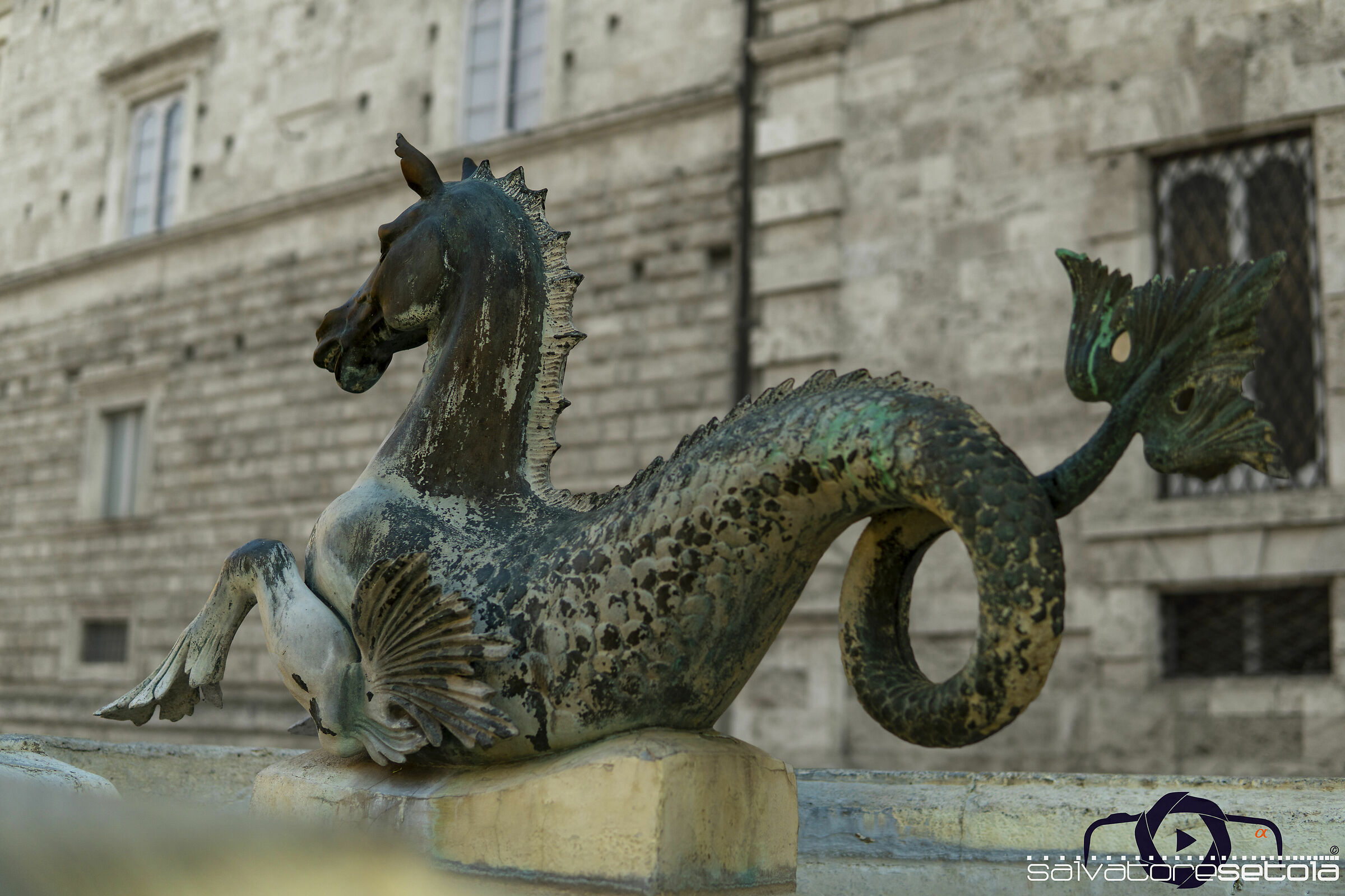 Ascoli Piceno particolari