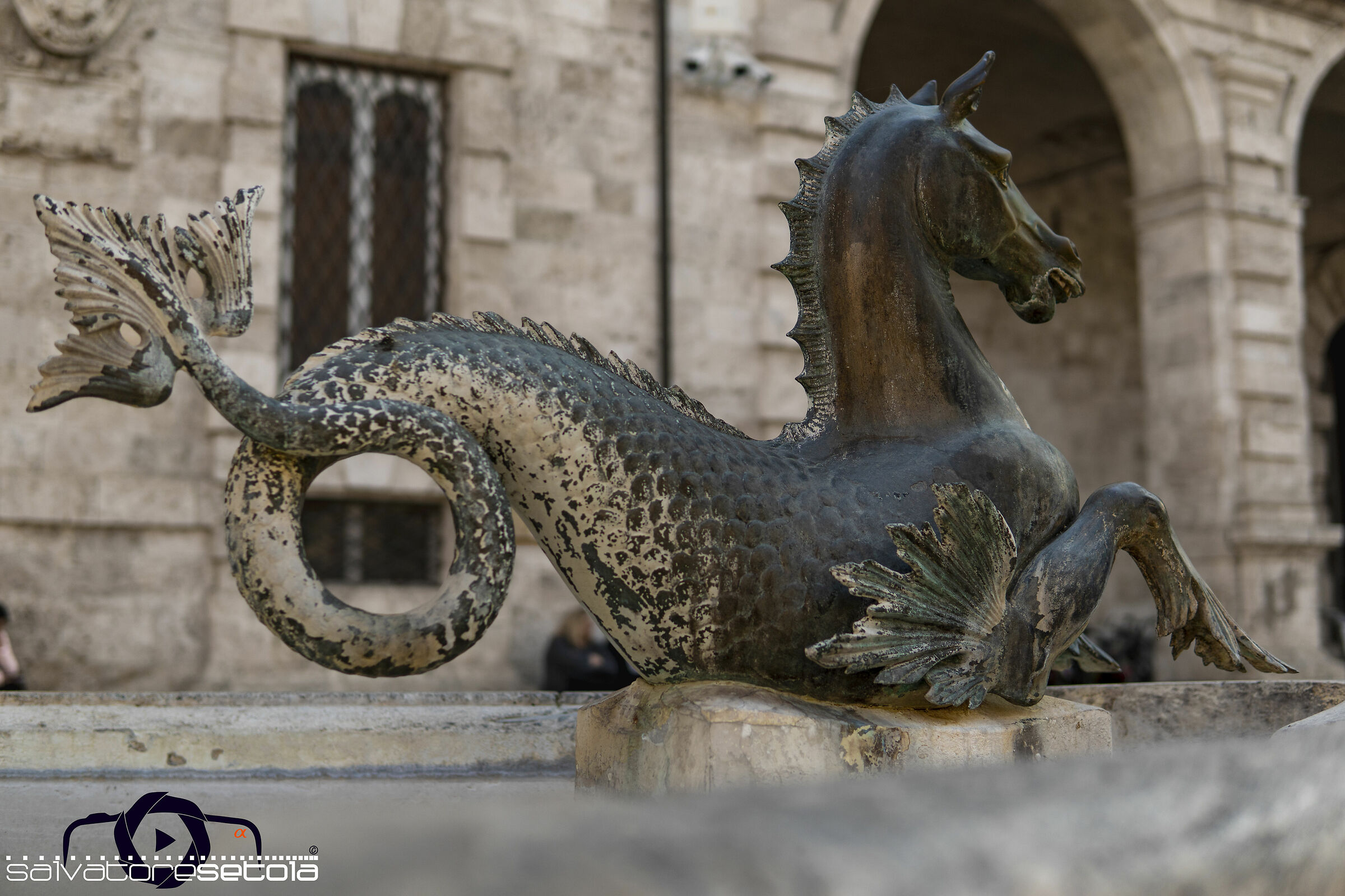 Ascoli Piceno particolari