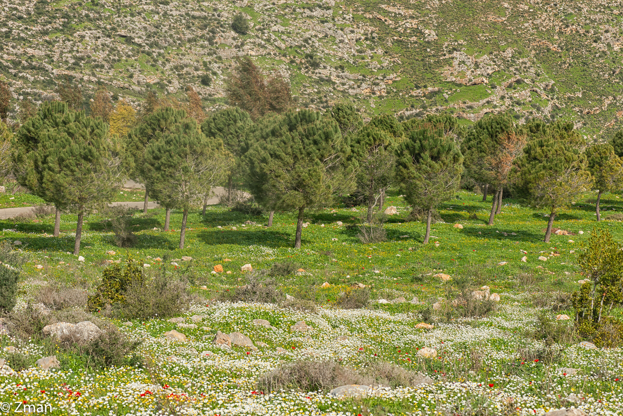 Sawaneh il nostro posto