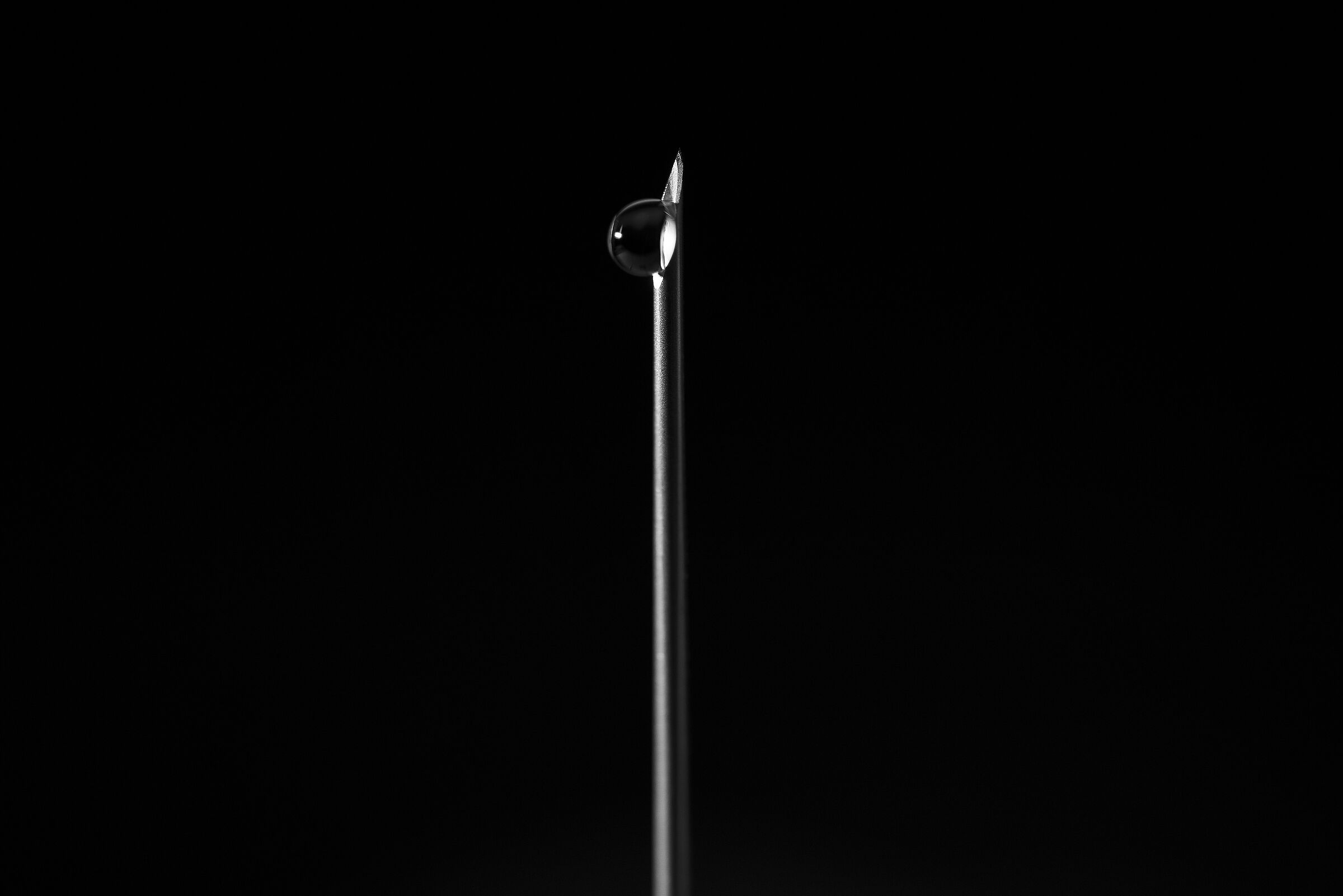 Digital_Still_life-7