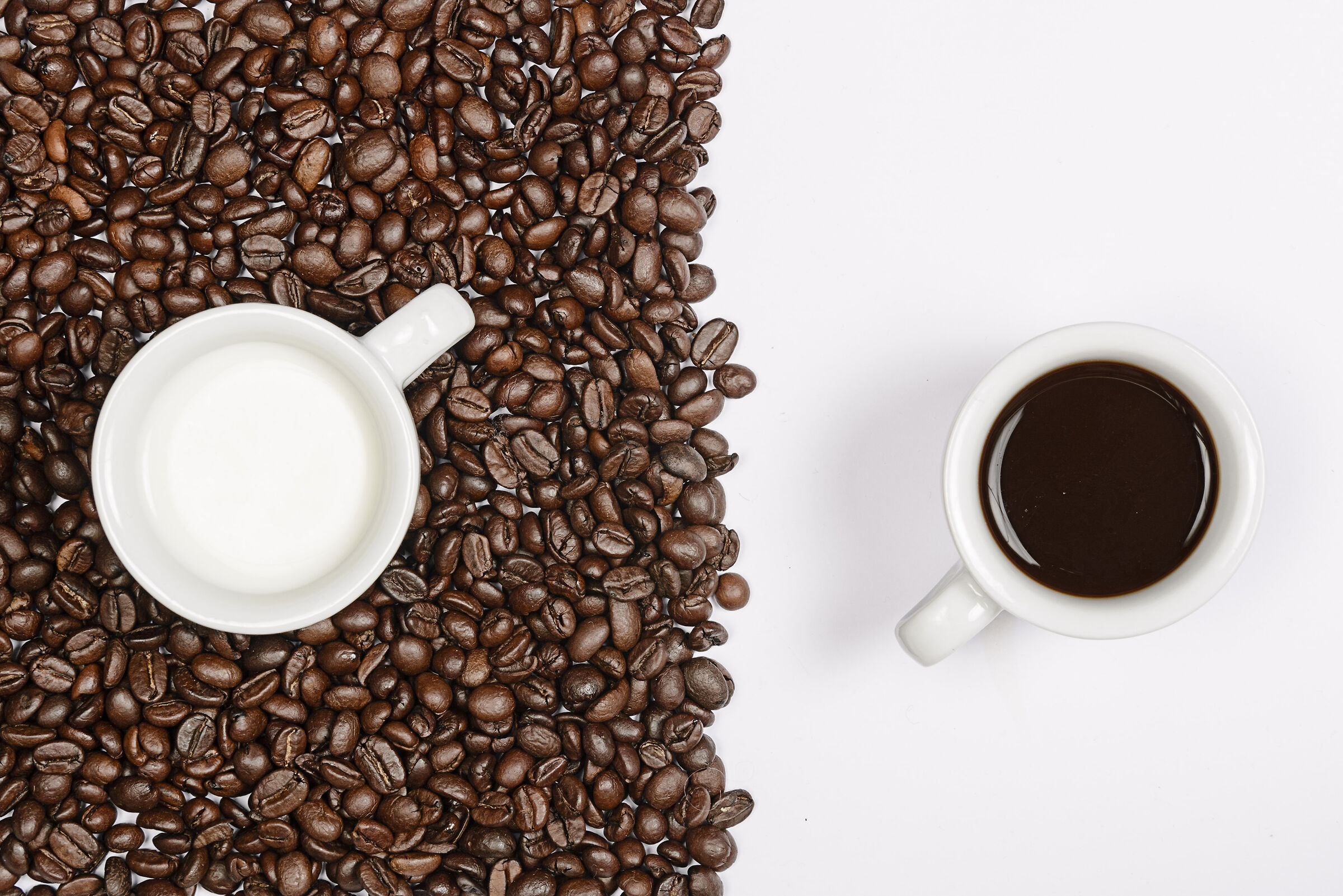 Digital_Still_life-8