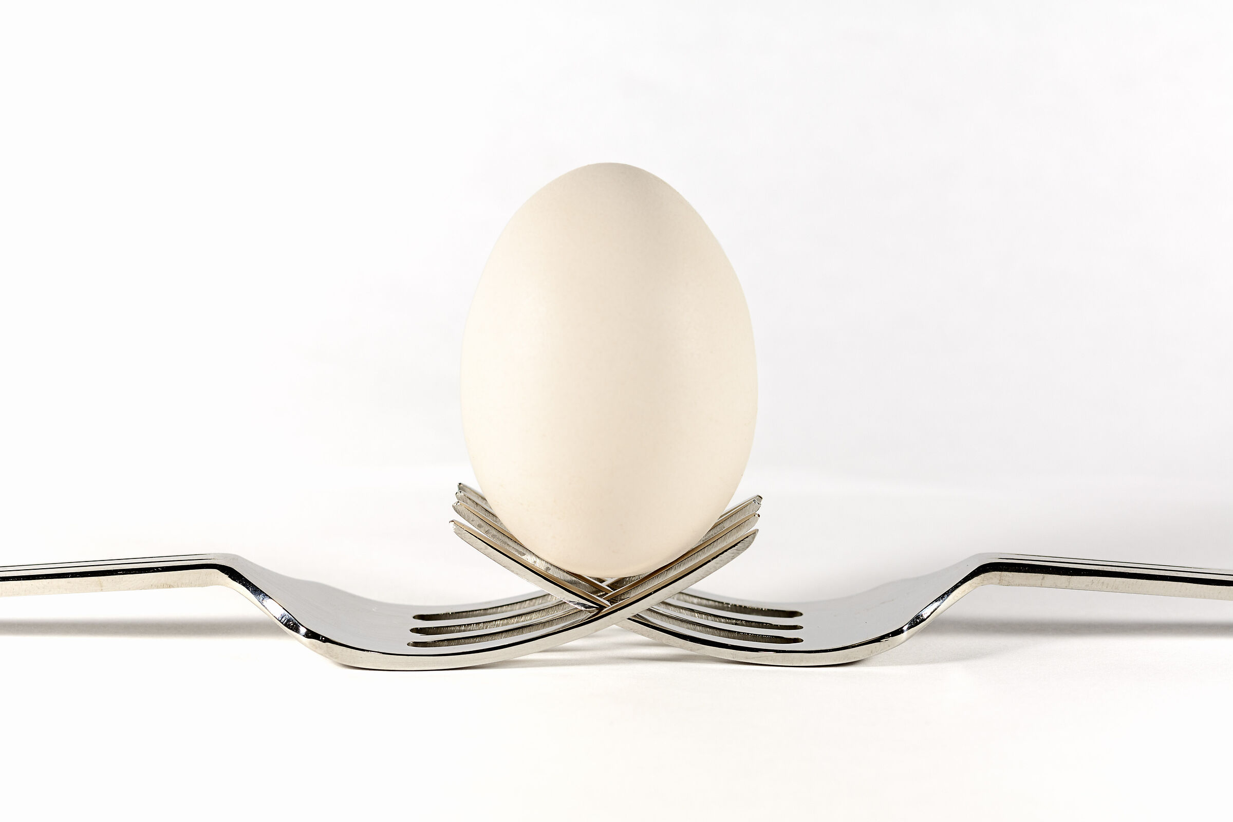 Digital_Still_life-9