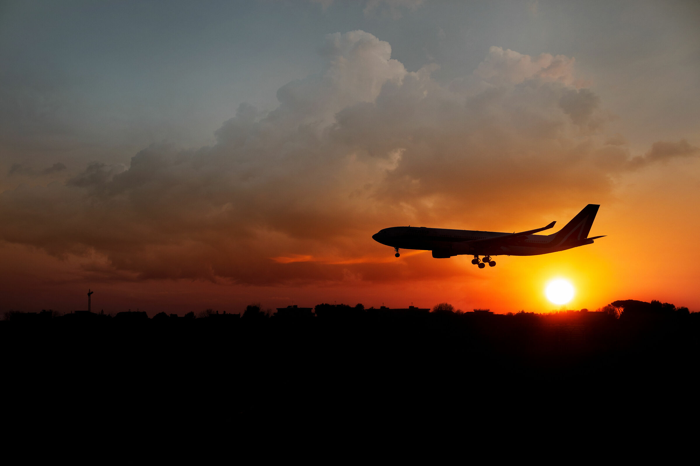 Want to Fly away...