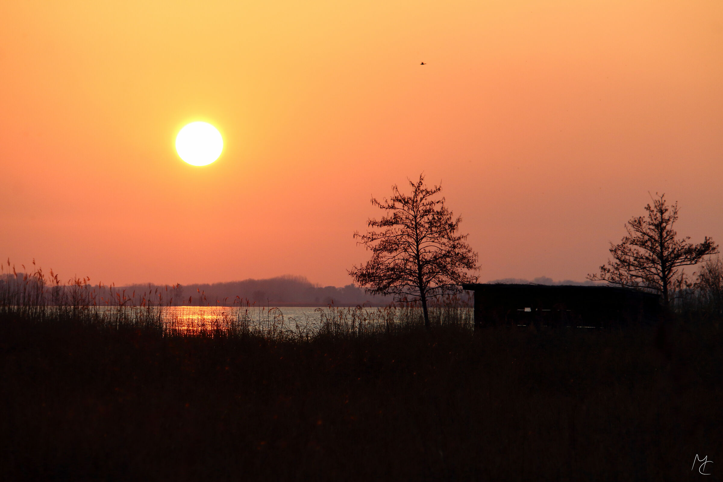 Tramonto al lago