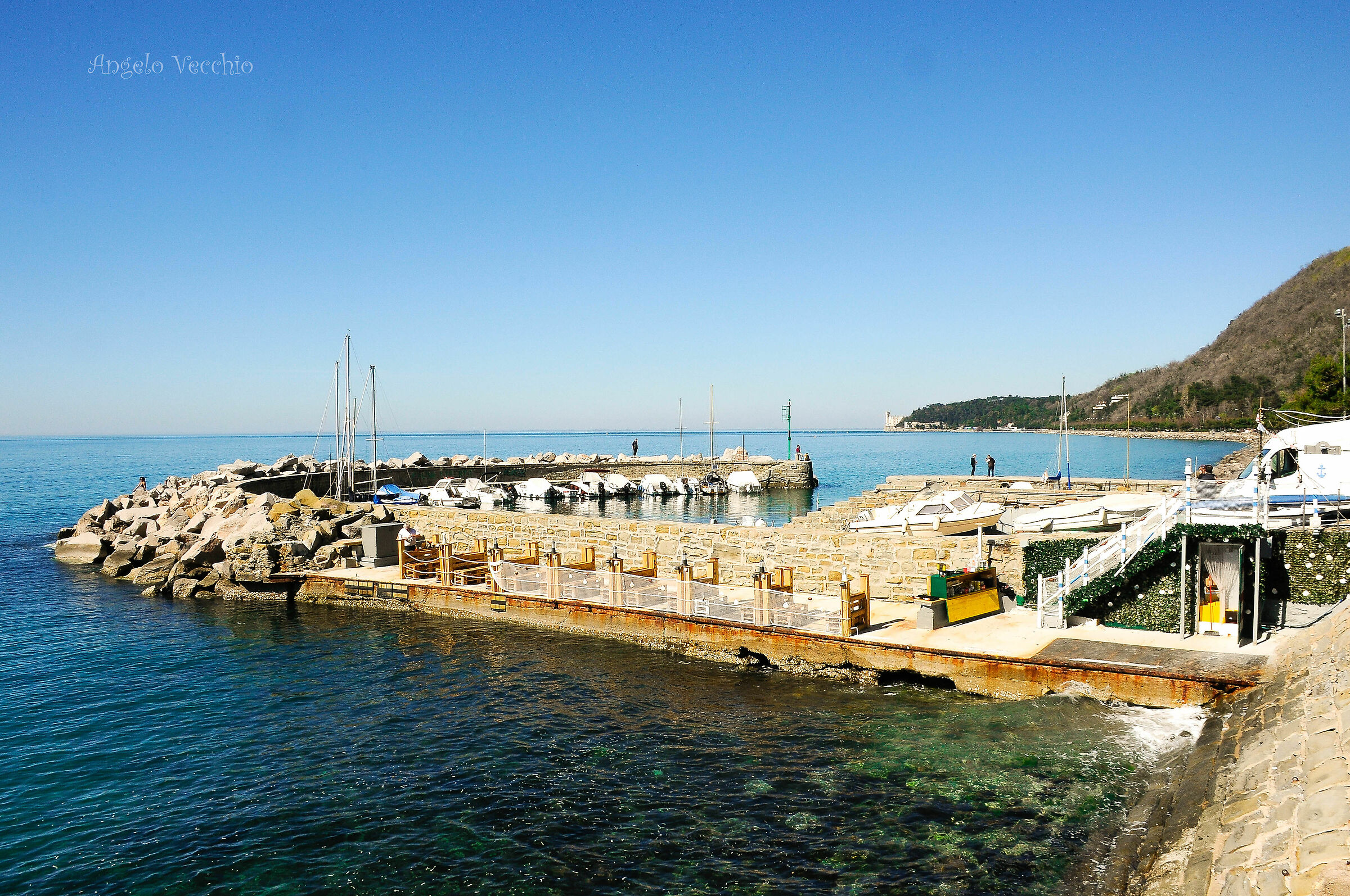 Trieste "Pineta Miramare"