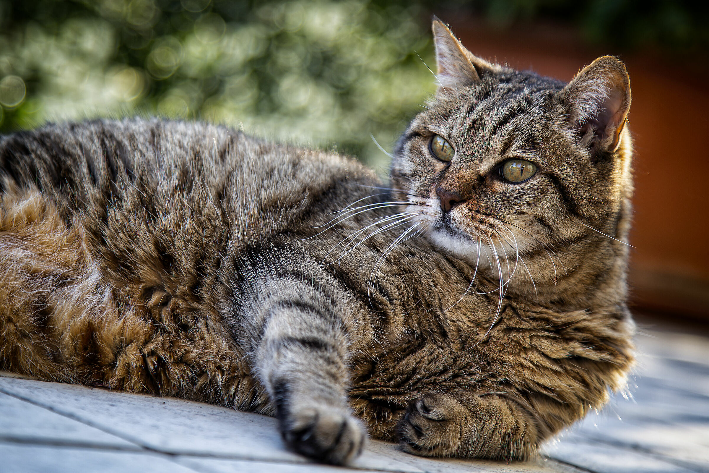 Questione di attenzione