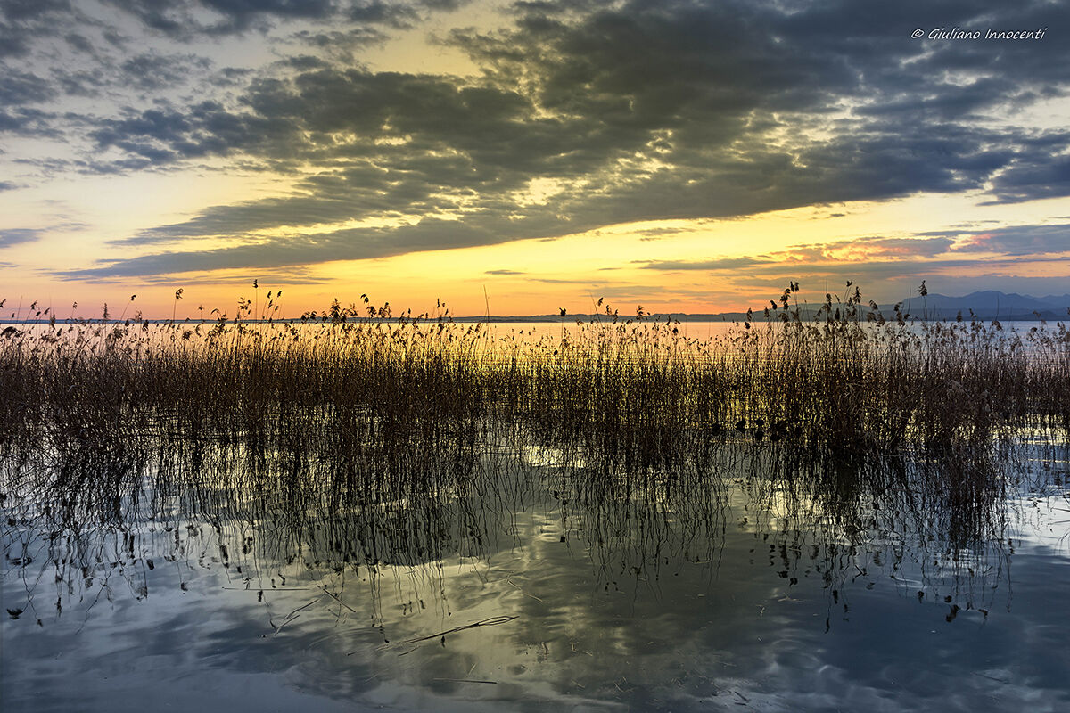 Il cielo sul canneto.....