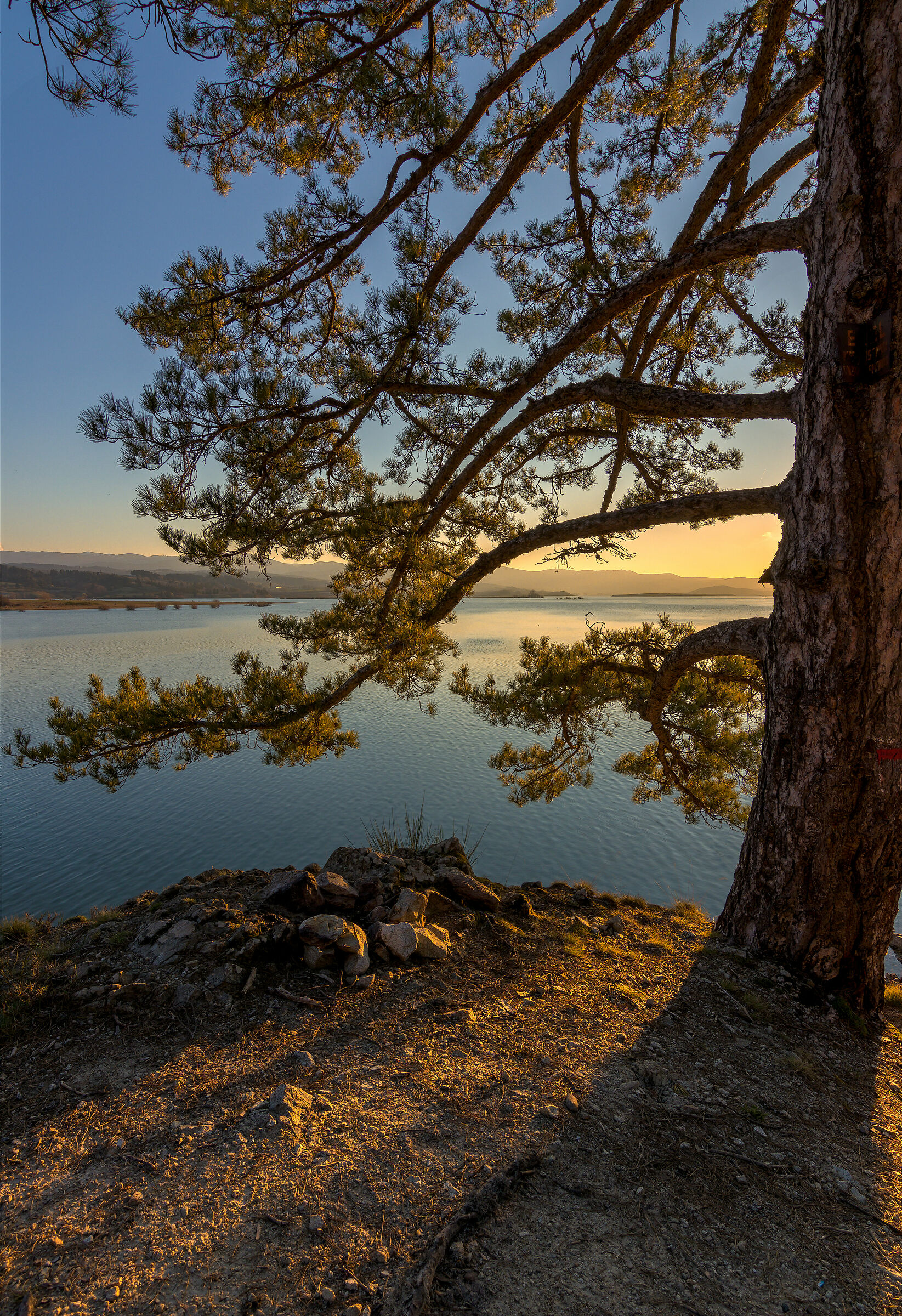 Con le braccia protese...