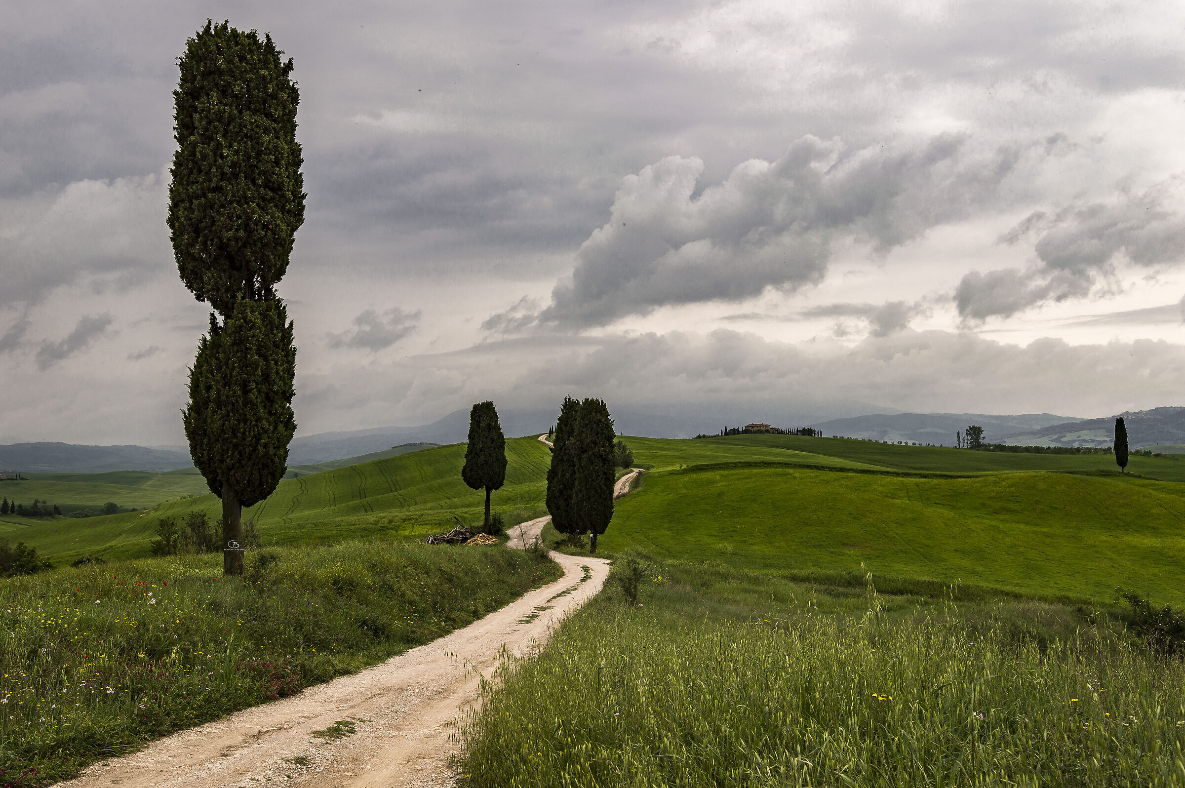The Way to Terrapille