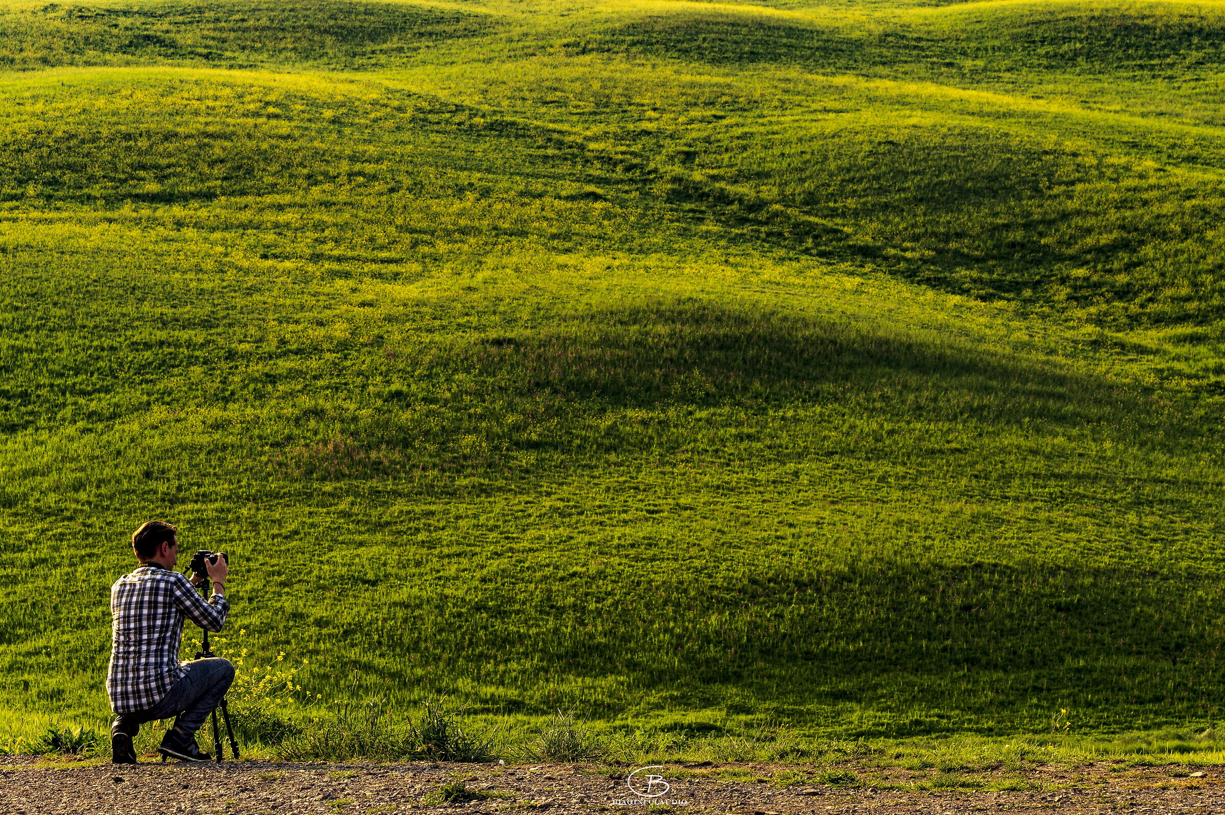 The concentration...