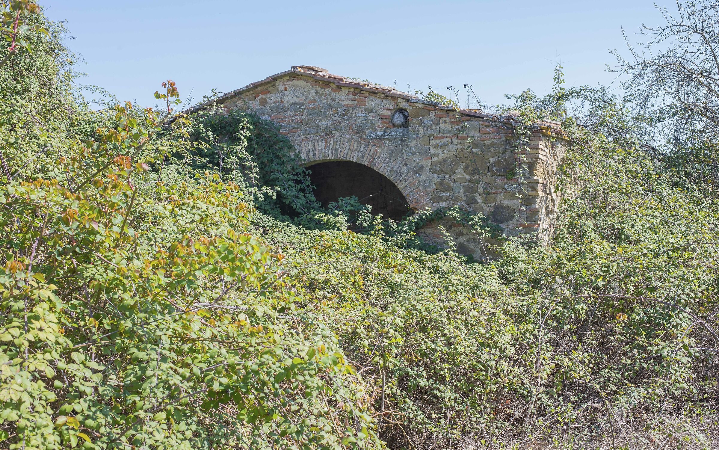 la stalla in mezzo ai rovi