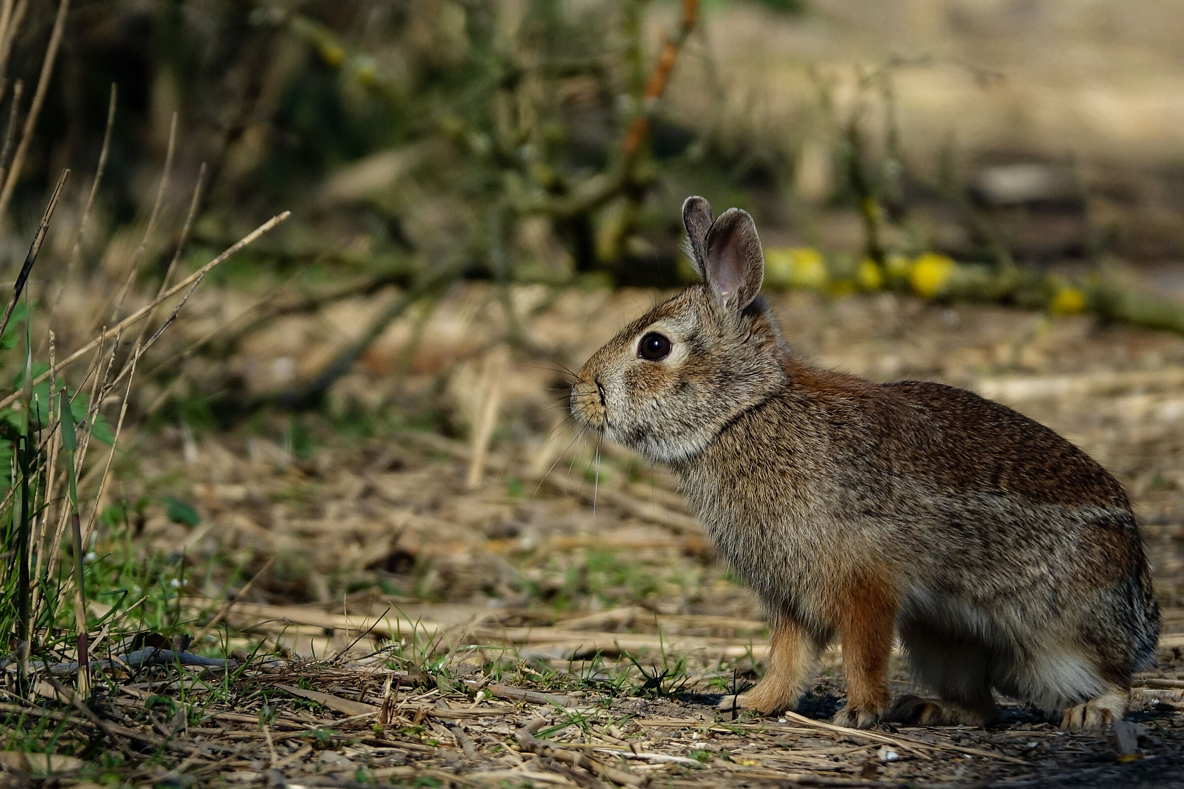 Ai blocchi di partenza!