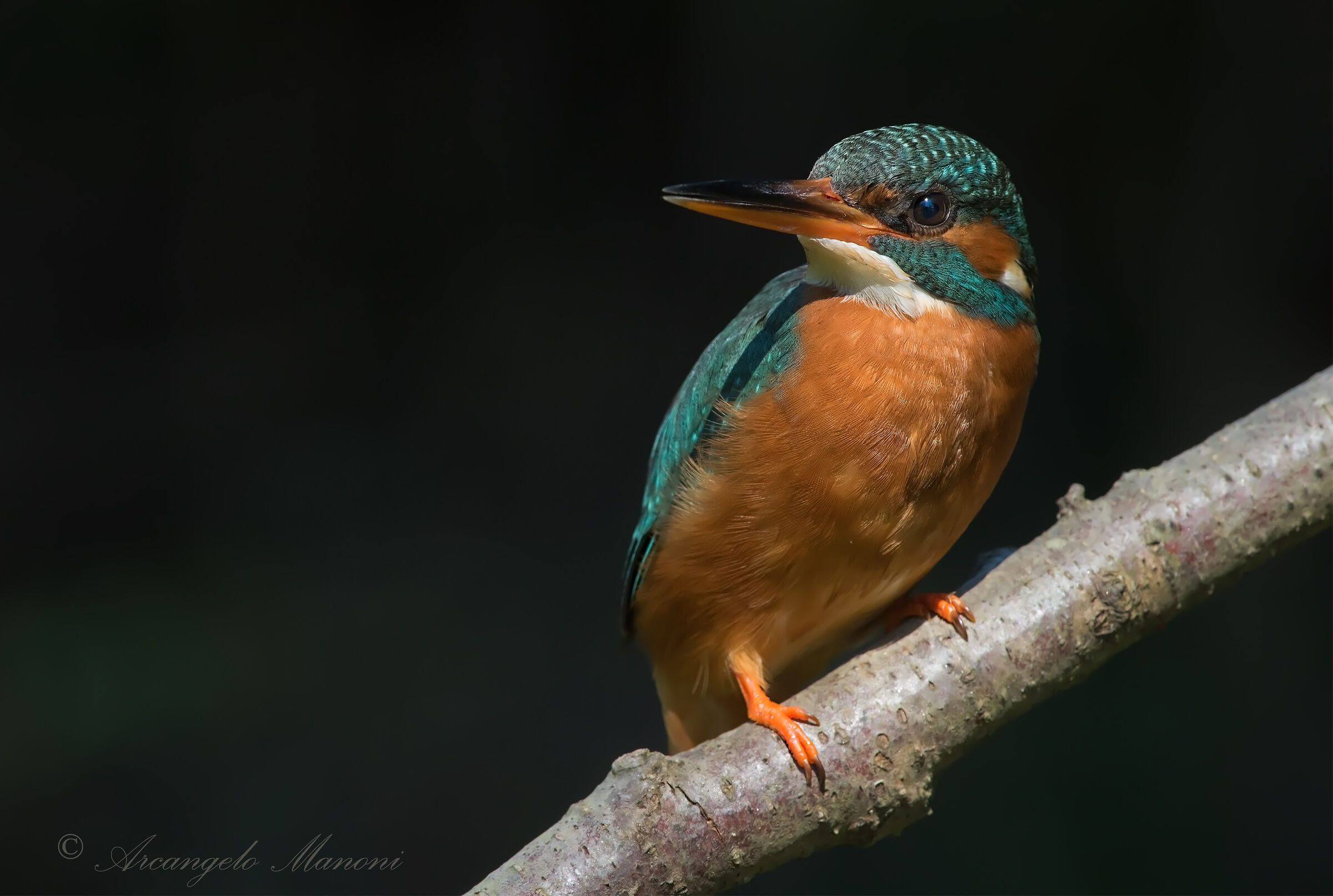 Under the river bank