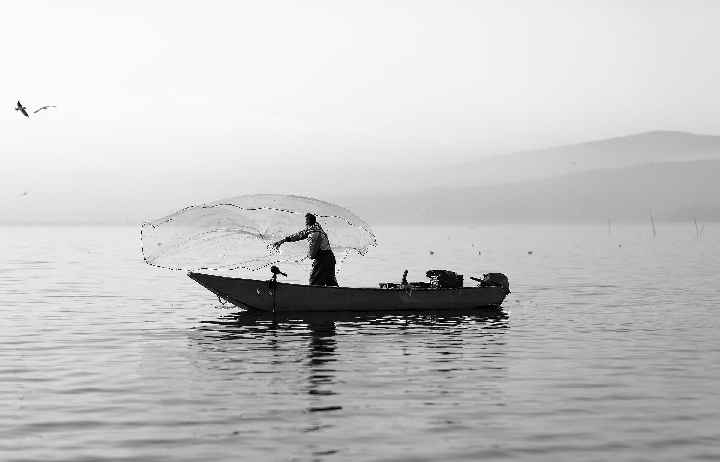 Un lancio nel bianco