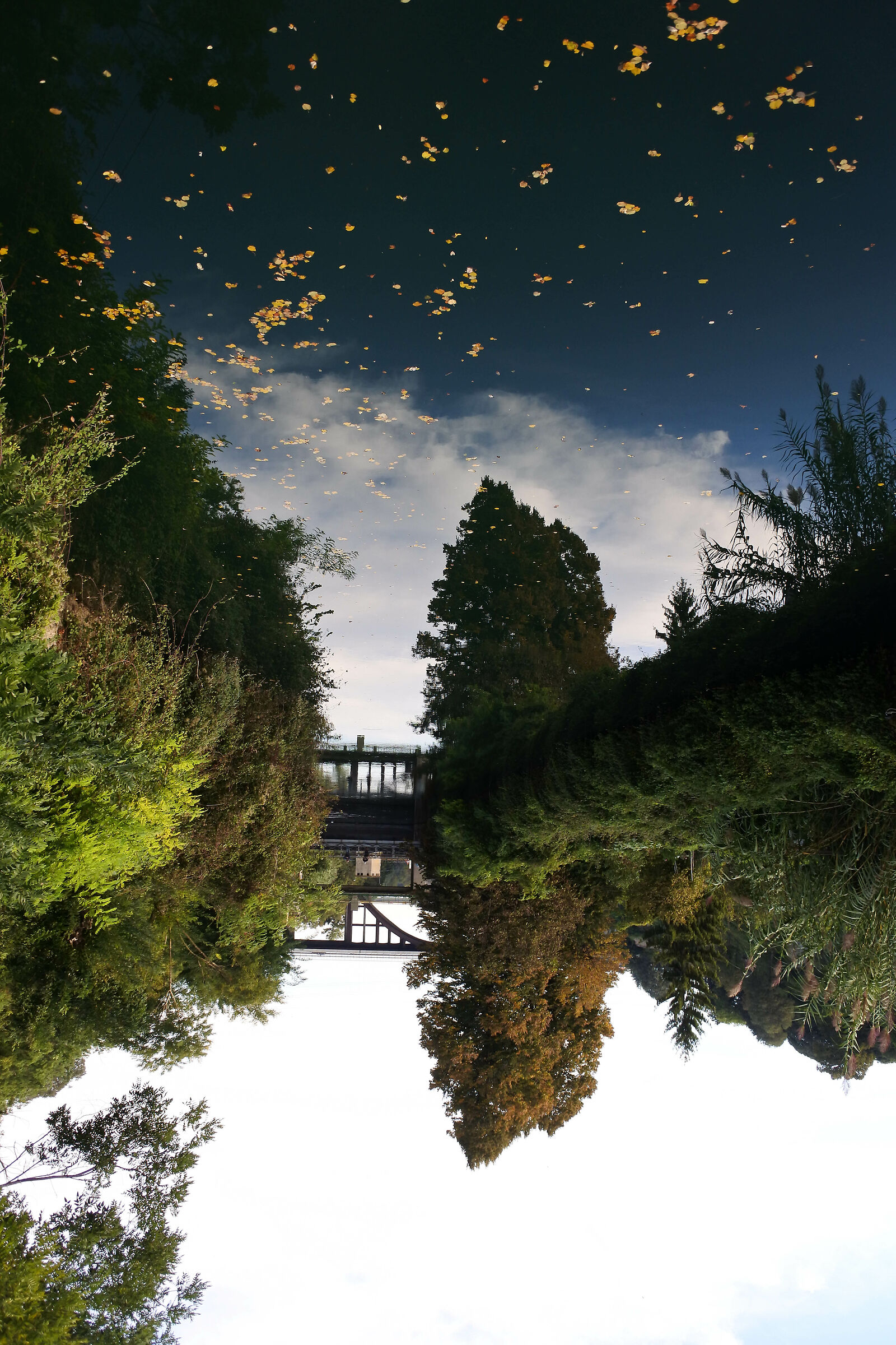 The World Upside Down