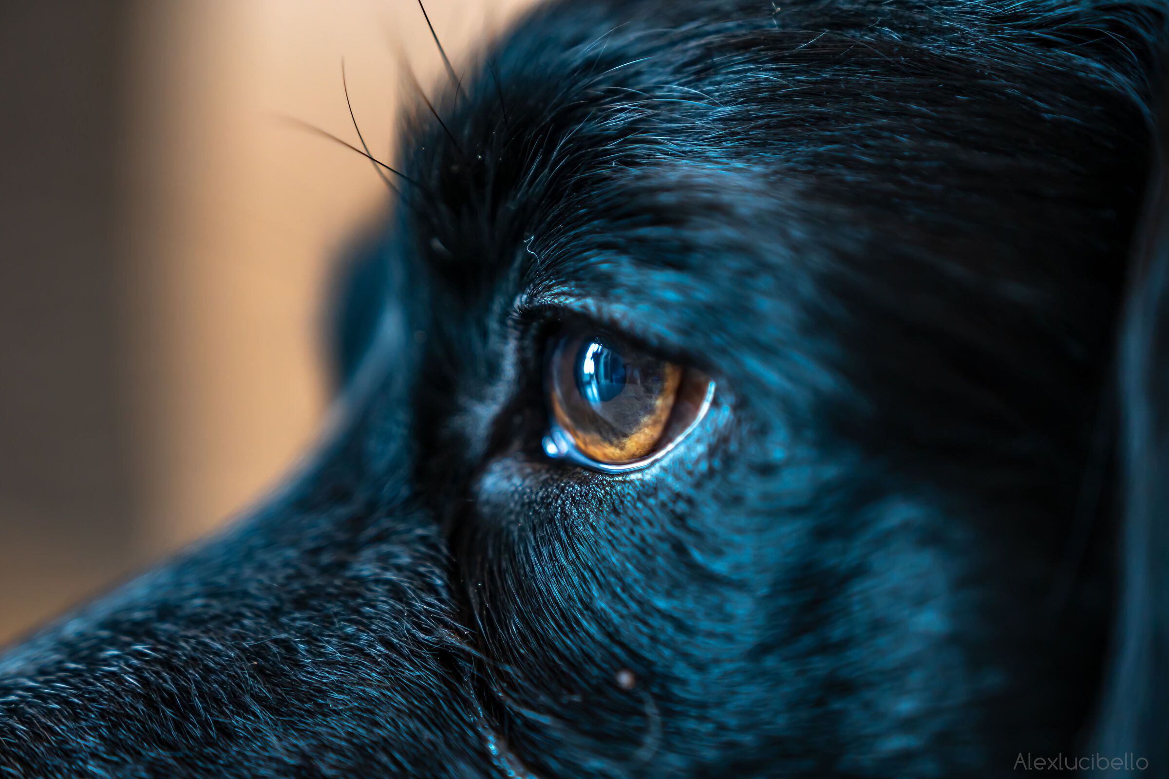 Reflection of the Soul